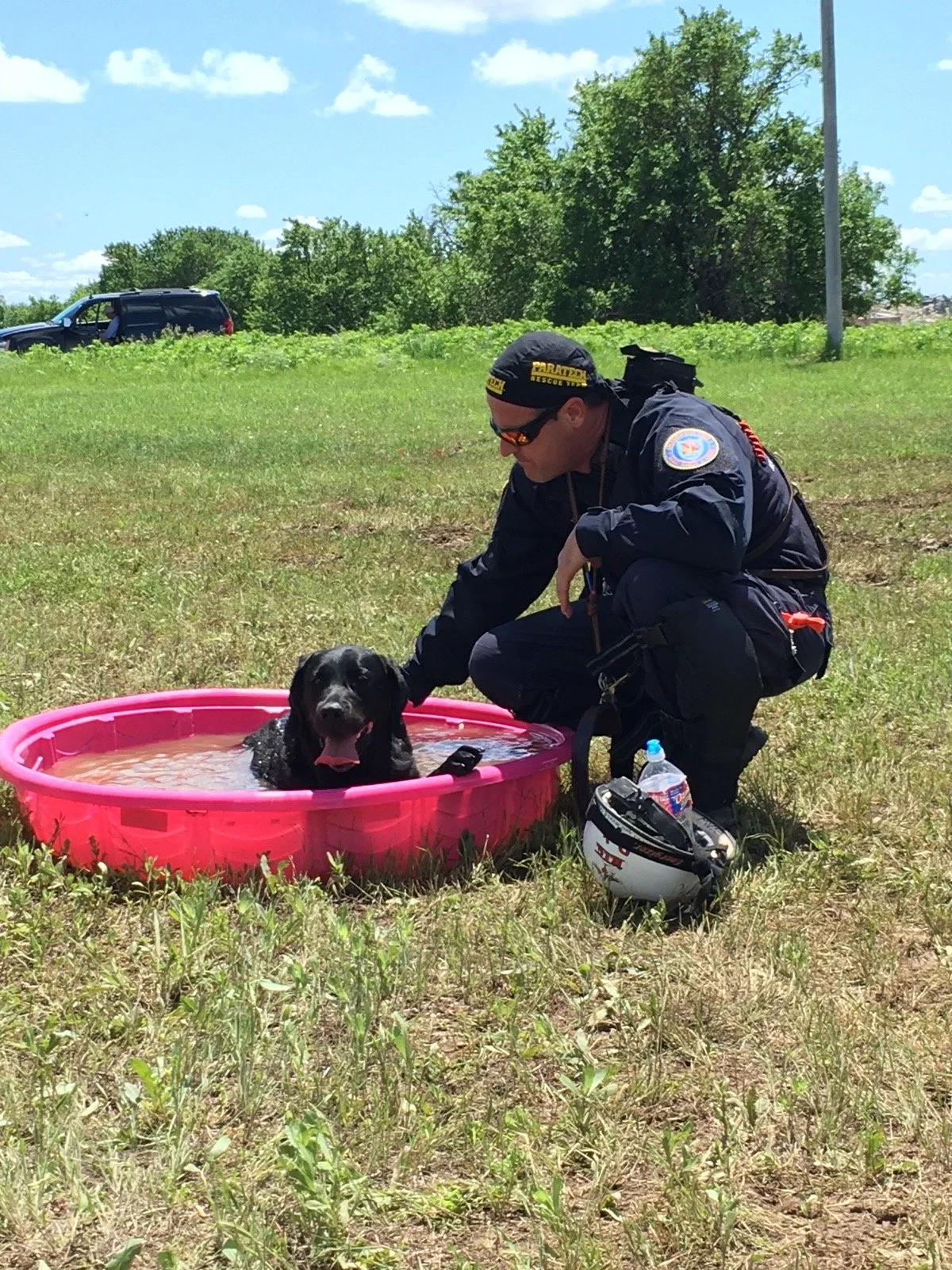 firefighter, search dog training, kneeling next to a black dog in a small pink plastic pool filled with water, in an outdoor grassy area under a sunny sky.