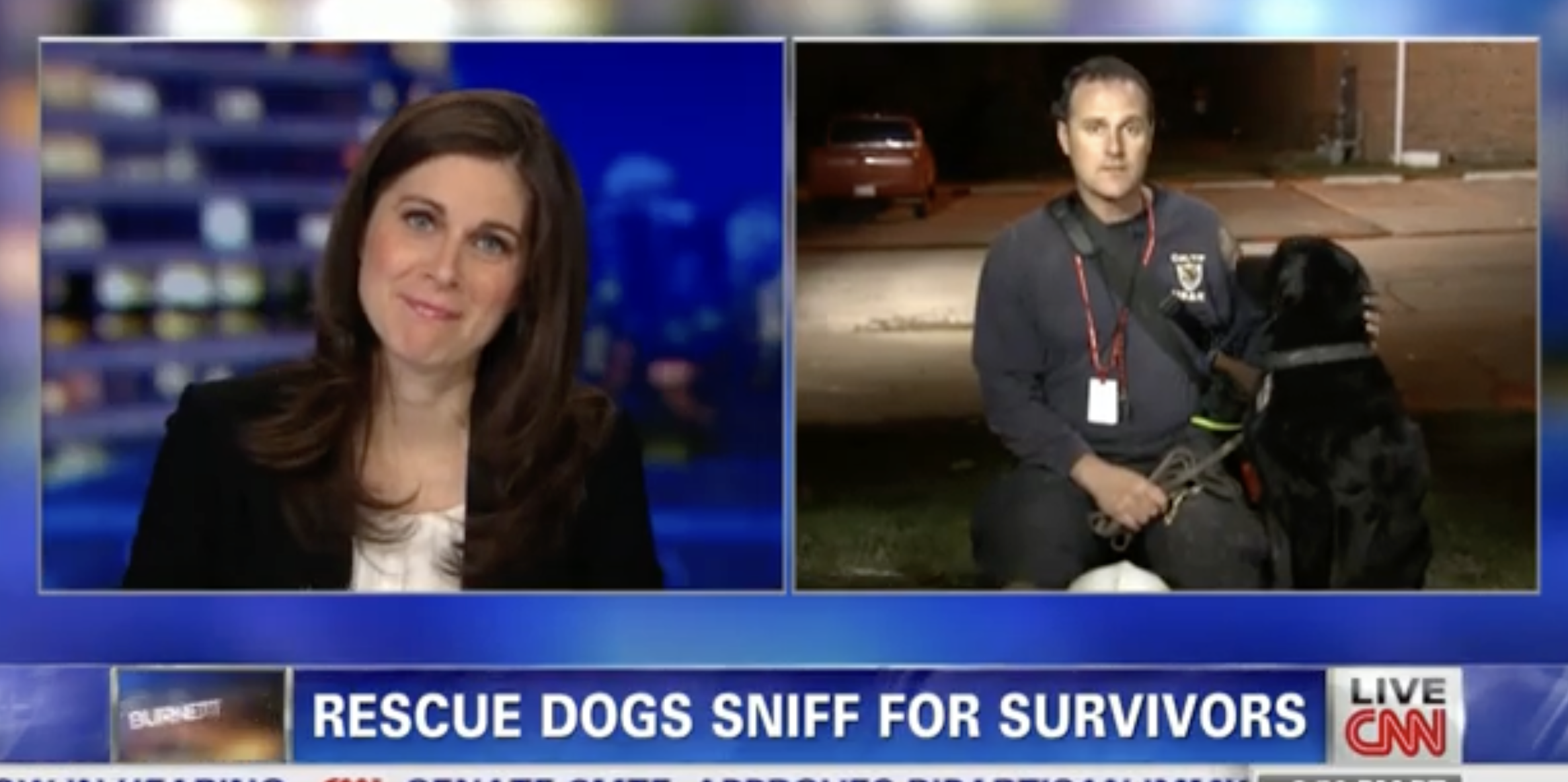 CNN news broadcast with split screen showing a female news anchor on the left and a police officer with a dog on the right, reporting on rescue dogs sniffing for survivors.