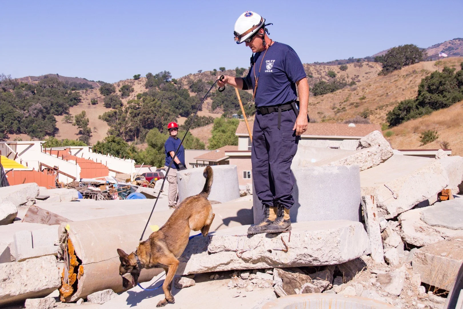 Search and rescue workers inspecting debris, with a handler and a rescue dog in a debris-covered area.