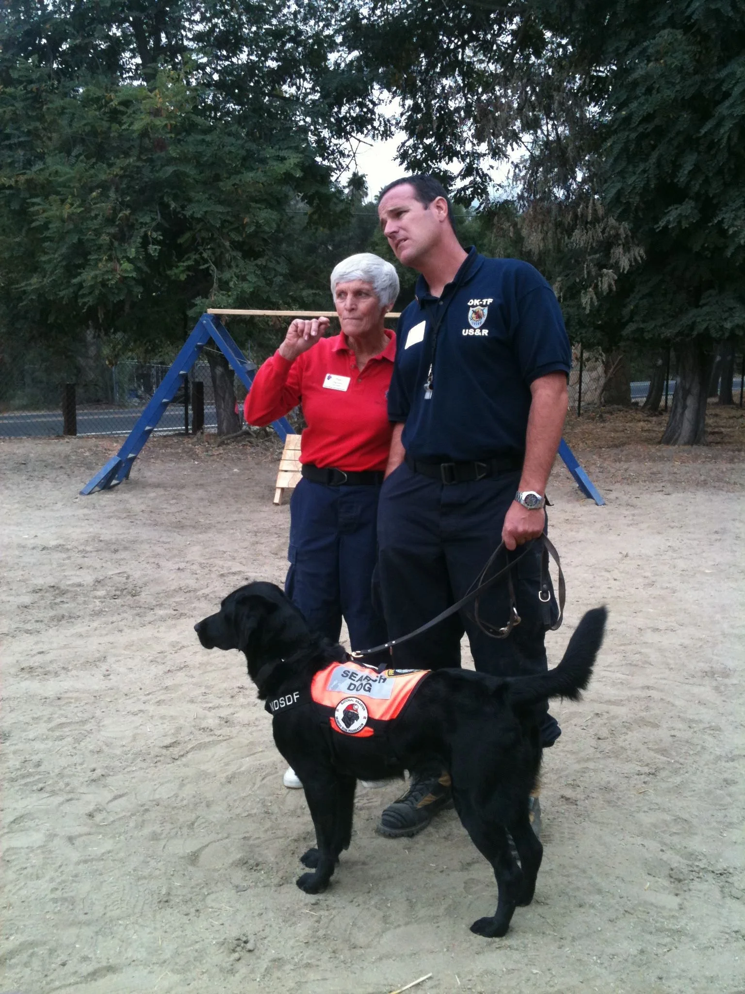 A man and a woman standing outside with a black Labrador service dog wearing an orange vest that says 'Search Dog'.
