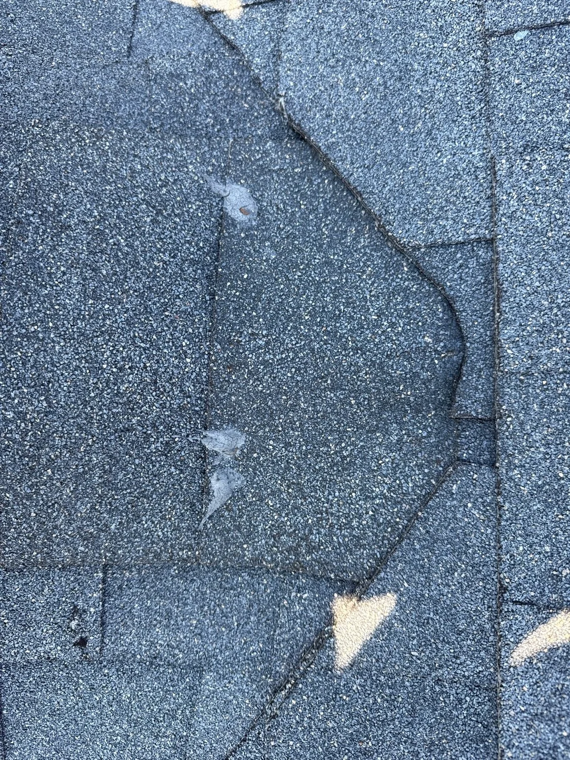Close-up of a damaged asphalt roof shingle with a portion of the material peeled back, revealing the inner layers.