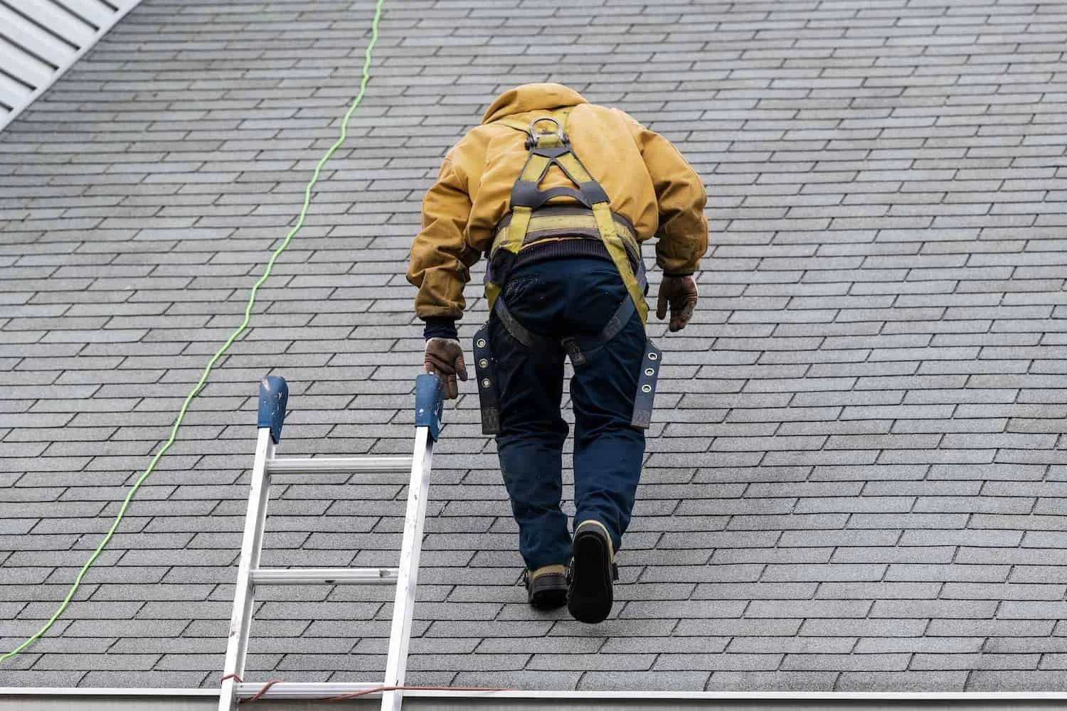 A worker climbing a steep roof with gray shingles using a ladder and safety harness.