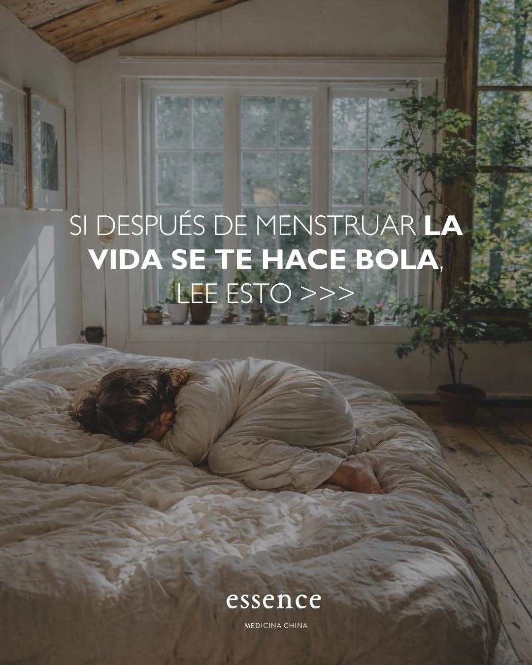 El s&iacute;ndrome postmenstrual existe, doy fe. 🥴

En lugar de quedarte padeci&eacute;ndolo en silencio sinti&eacute;ndote un bicho verde, puedes darle usarlo a tu favor y hacer una lectura sobre tu salud hormonal.

Lo m&aacute;s interesante es cru