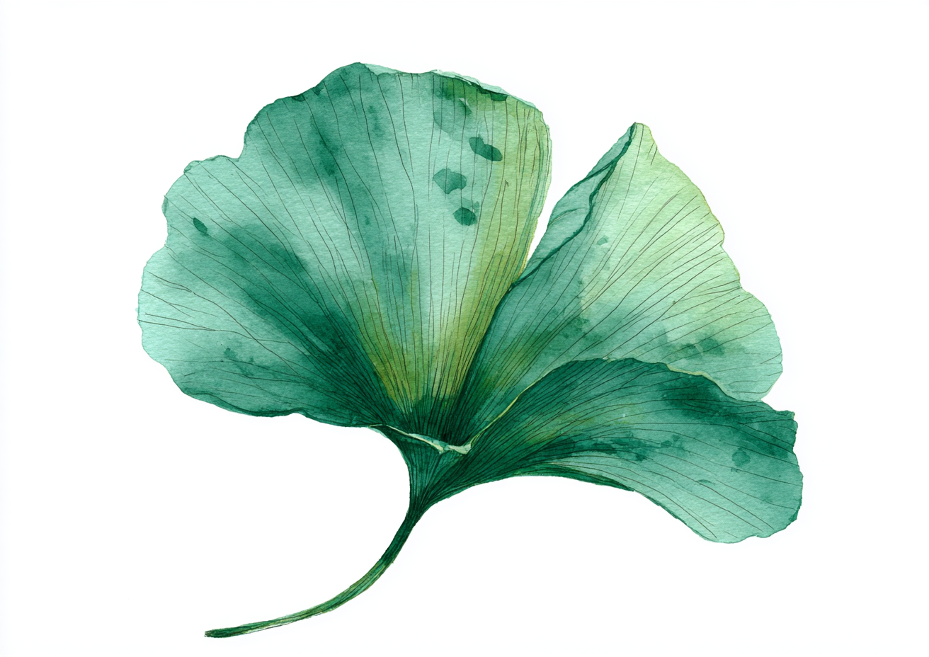 Blatt-Ornament bei Flobit Esme