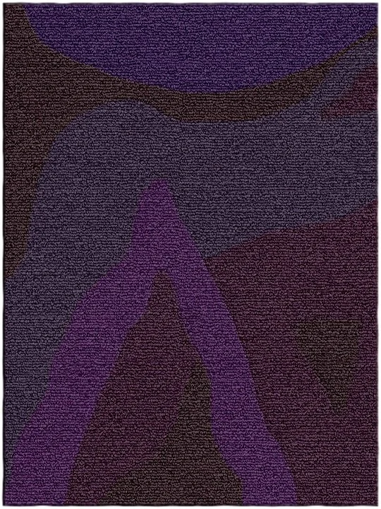SS 1.2 rug (Visualization).jpg