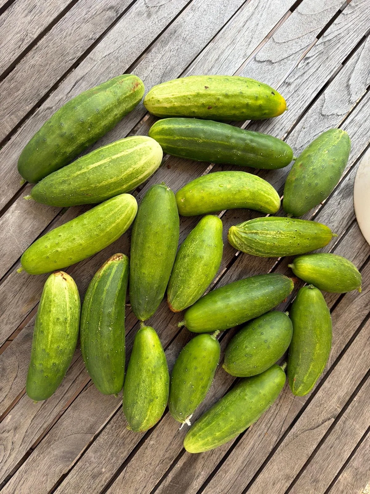 Krastavci