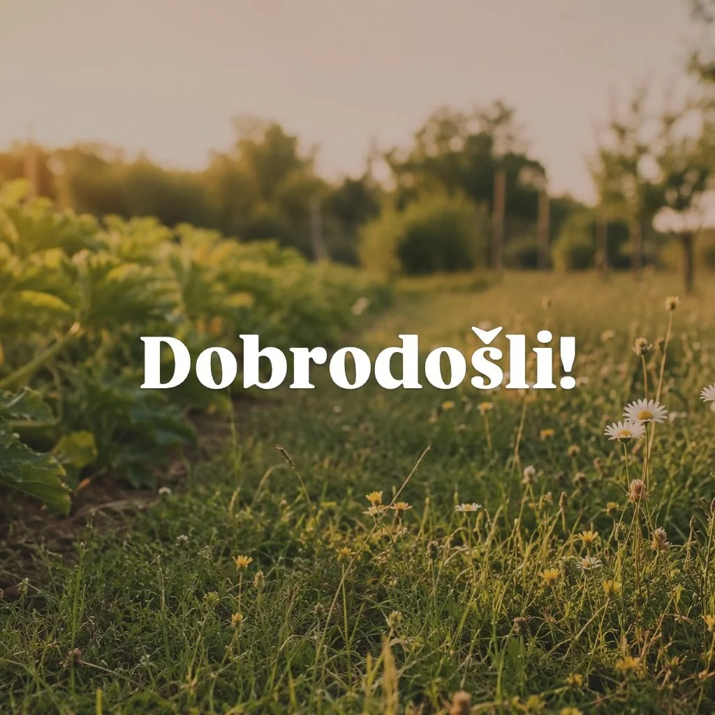Dobrodo&scaron;li u na&scaron; kutak prirode, tradicije i ljubavi prema zemlji &ndash; dobrodo&scaron;li na OPG Dota! 🌿
Ime Dota u na&scaron;im krajevima označava miraz, ono najvrijednije &scaron;to se generacijama čuva, priprema i s ljubavlju preda