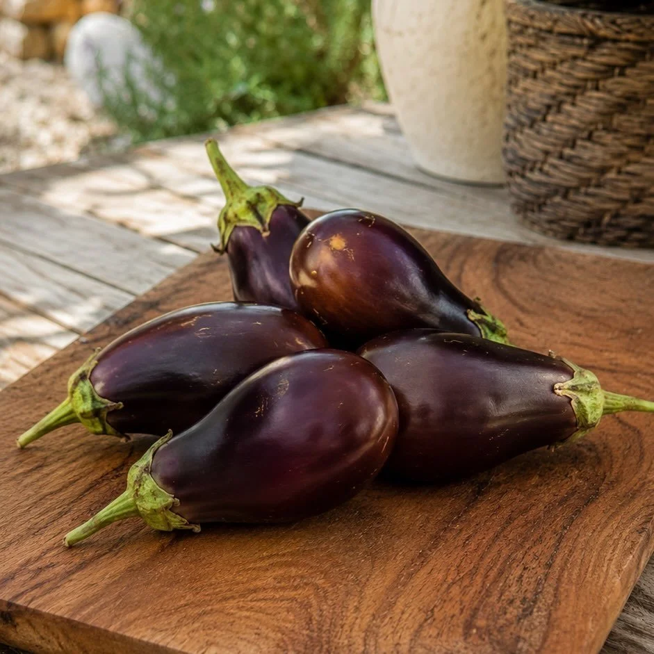 Na&scaron;i patlidžani su uzgojeni s puno ljubavi i pažnje, bez ikakvih pesticida! 🍆

Cijena: 4,50&euro;/kg

Javite nam se za narudžbu! 🌿

#opgdota #otokkrk #kupujmodomace #kupujmohrvatsko