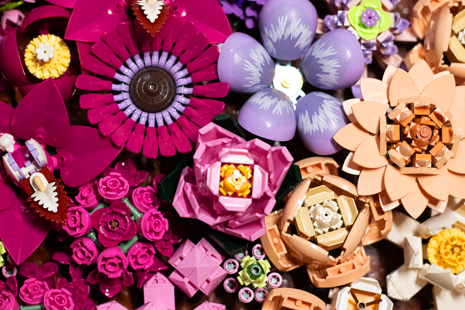 Pink Flower Wall_01.png