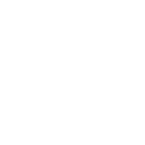 LINDSEY WEBSTER