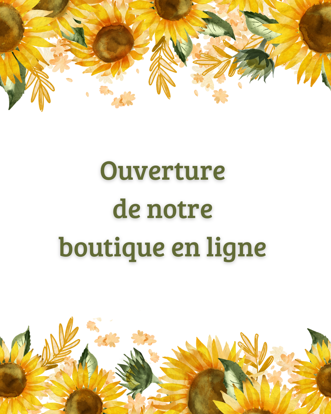 Lancement de la boutique en ligne