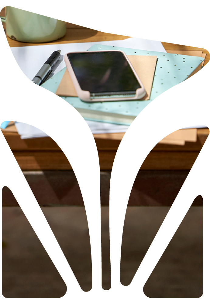 Connection to the community