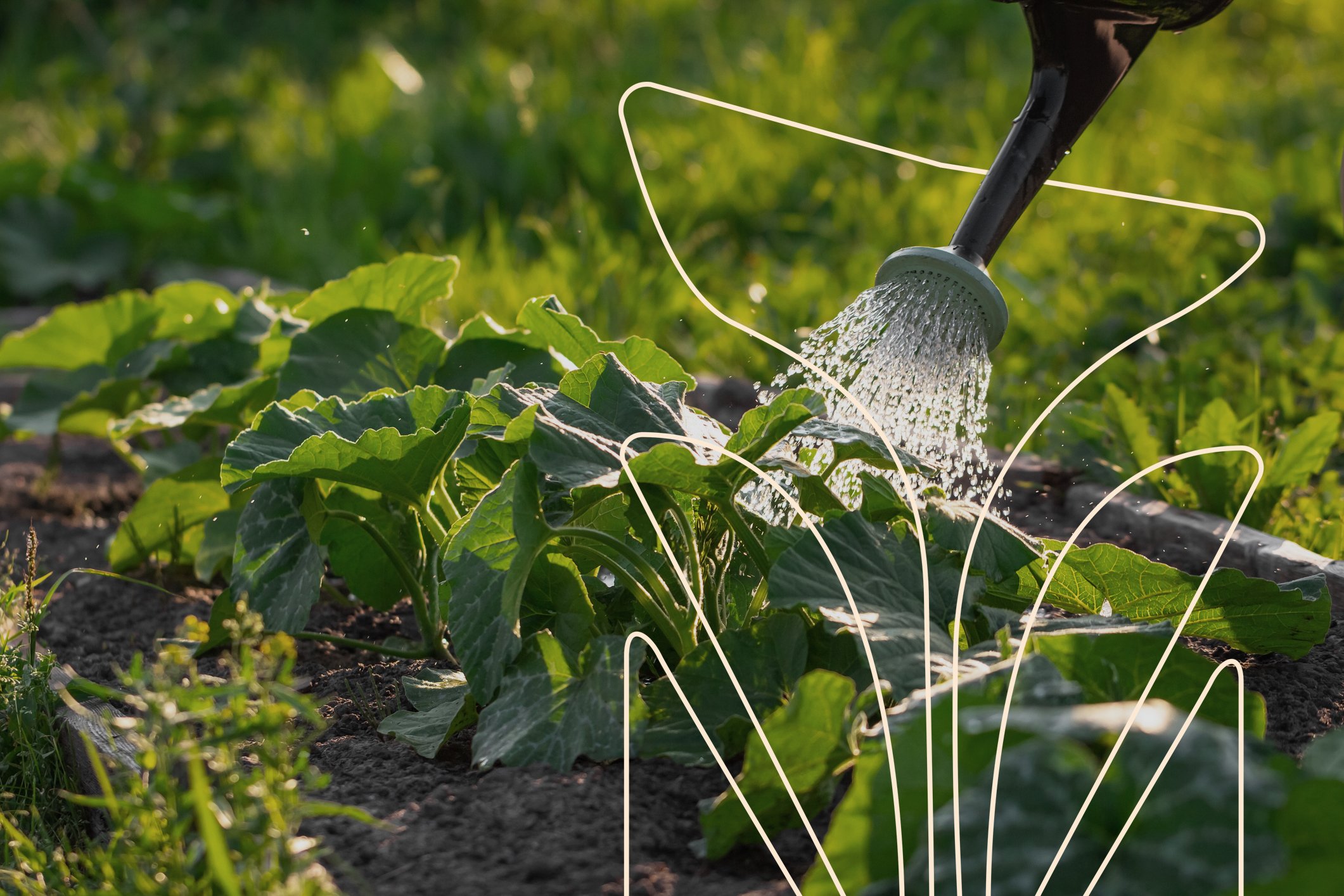 Promoting real growth through careful nurturing