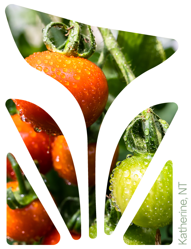 Growth starts at the ground up