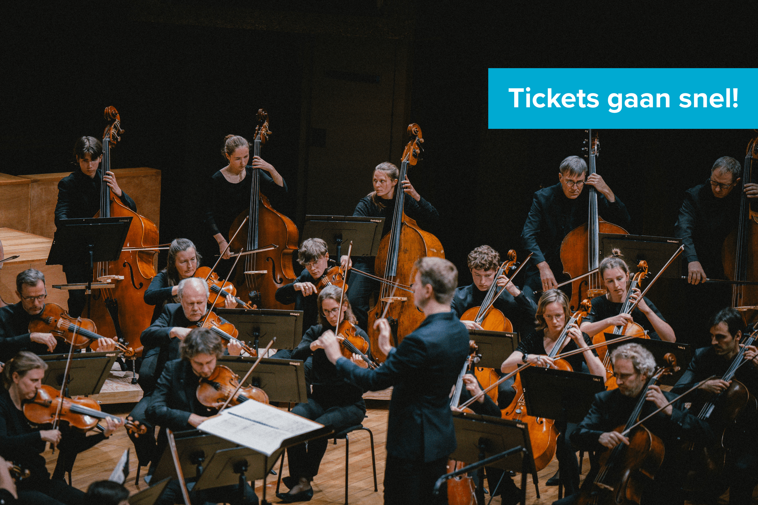 Symfonieorkest Vlaanderen