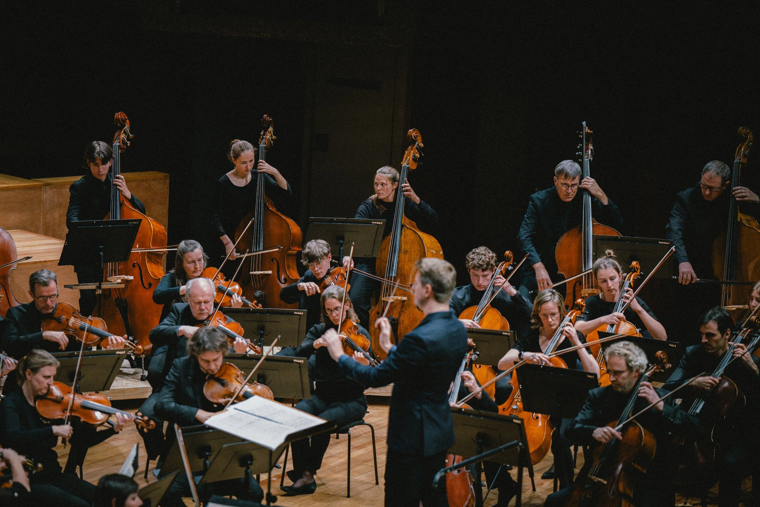 Orkestermuzikanten die strijkinstrumenten spelen onder leiding van een dirigent in een concertzaal.
