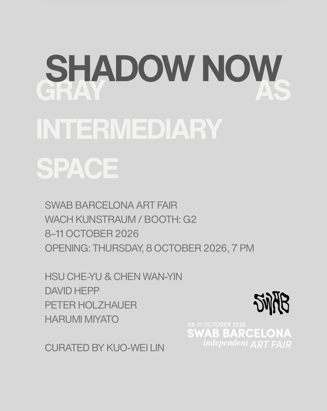 Shadow Now exhibition poster