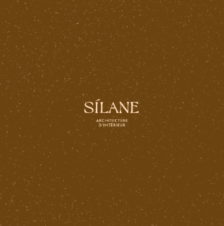 logo sur fond texturé pour Silane, architecte d'intérieur