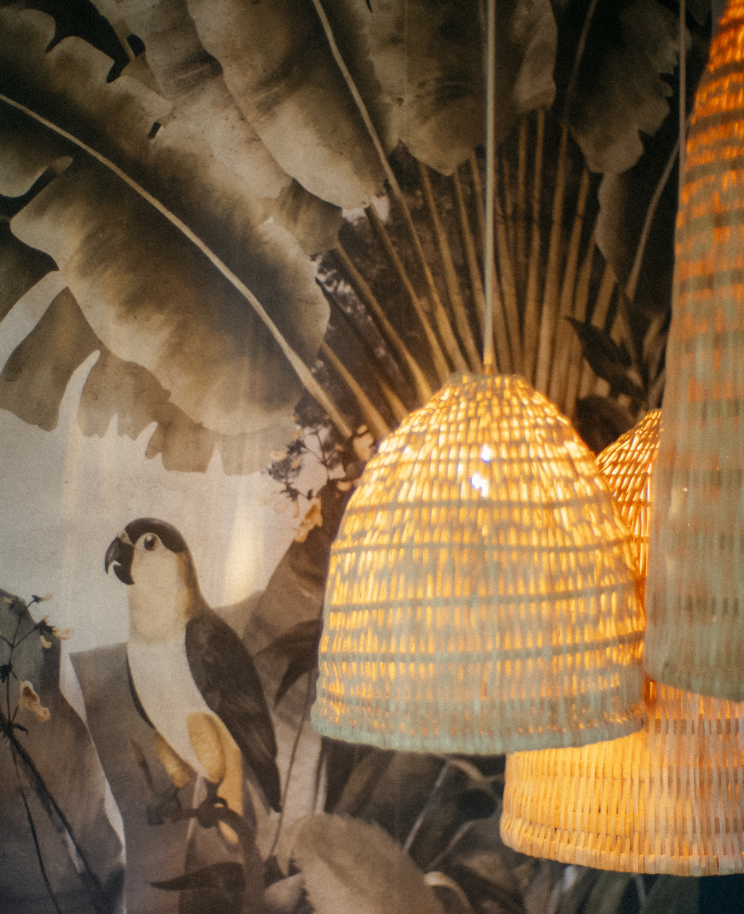 photographie d'un coaching décoration