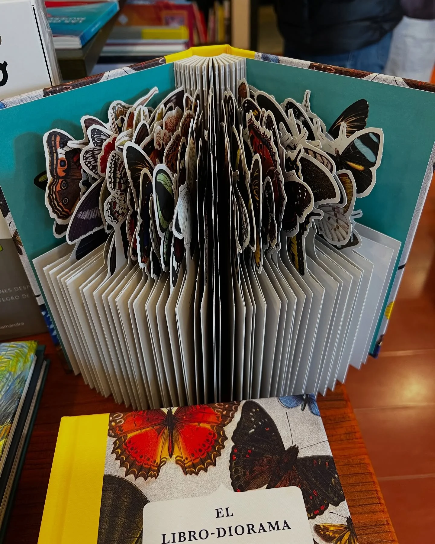 Algunos libros divertidos en Sevilla.  Playful books from Sevilla! #boiks #libros #ninjos #interactive #cute #spain #sevilla #shapes #cutoutpages