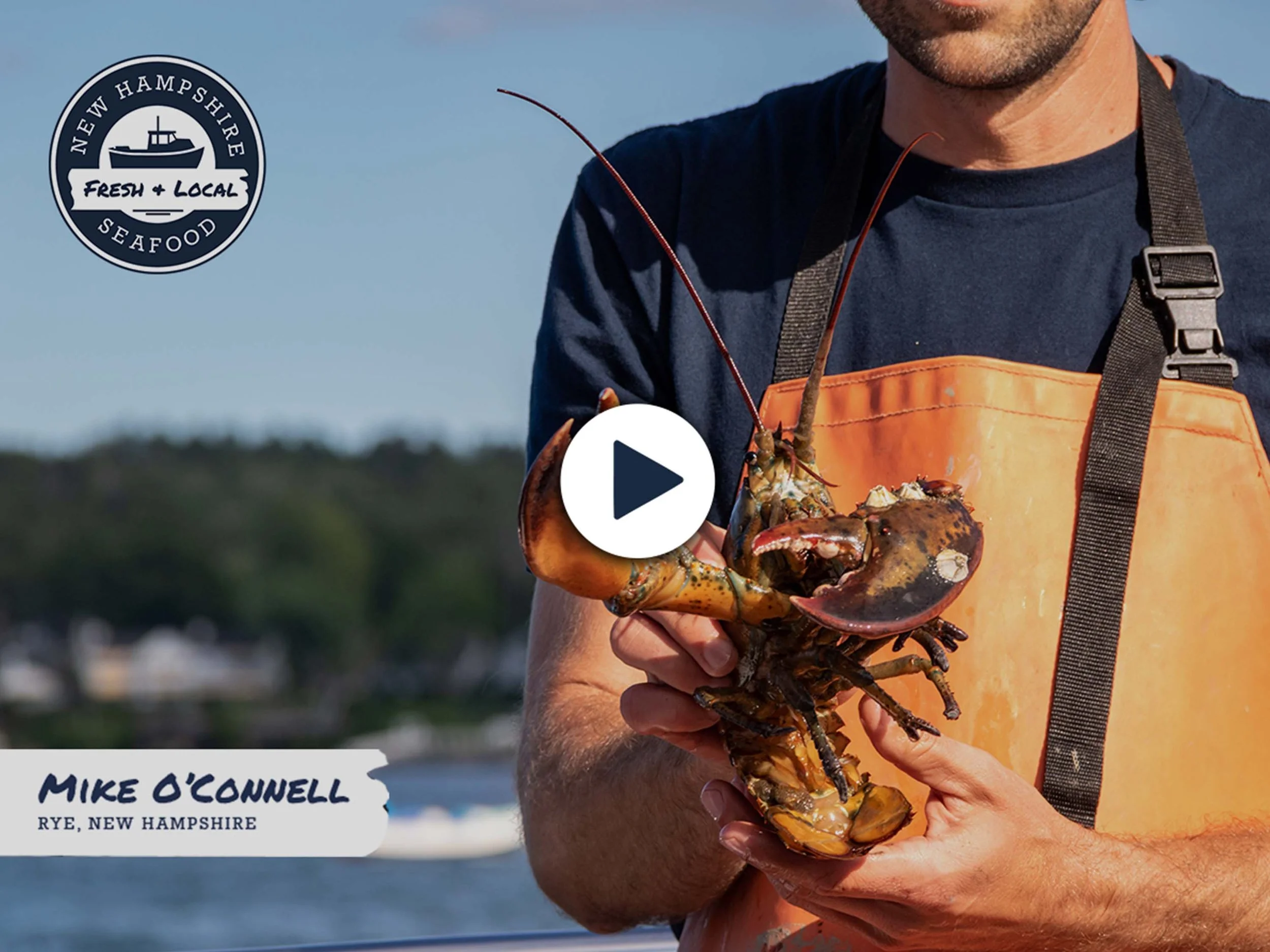 NH Seafood - Video.jpg