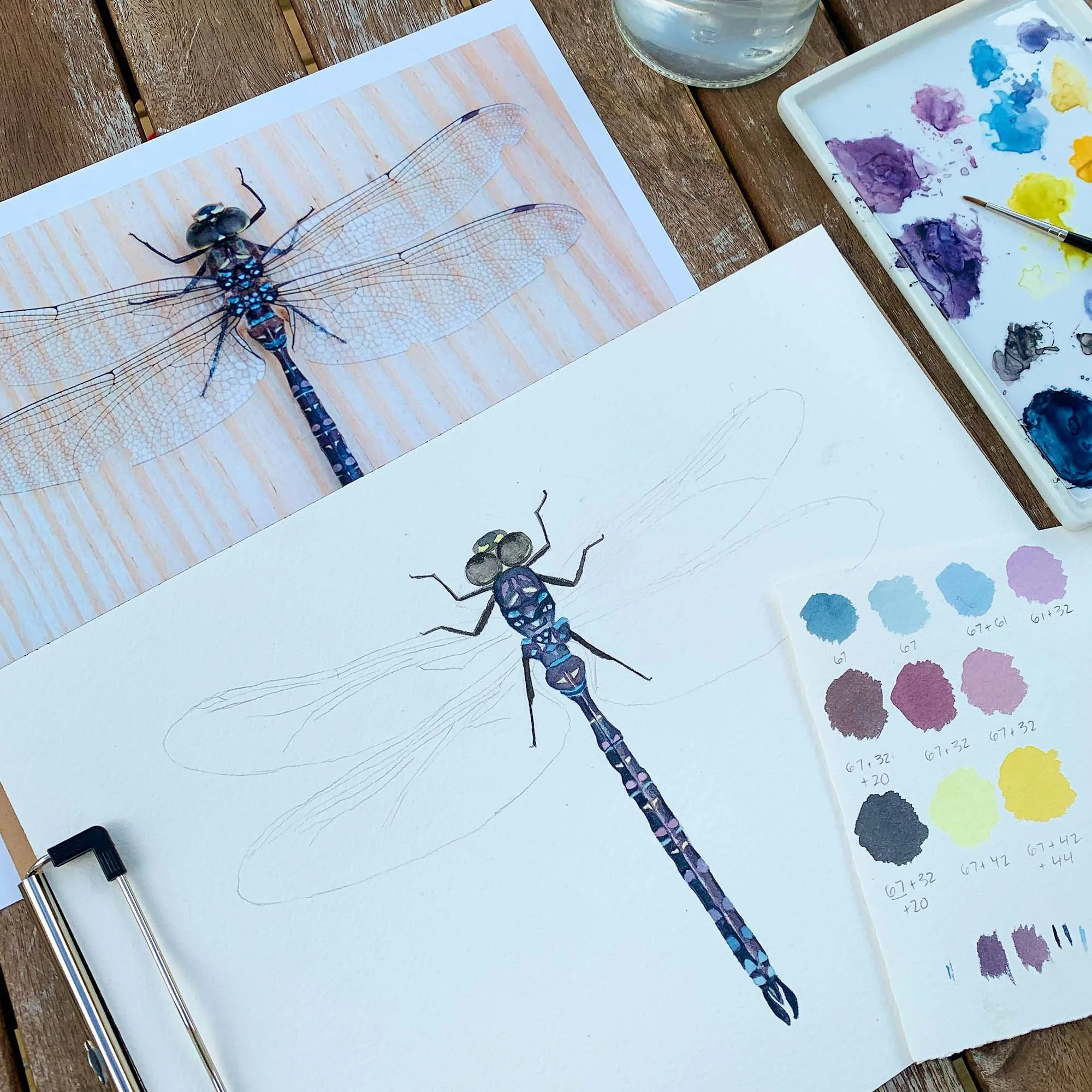 Dragonfly - 1.jpg