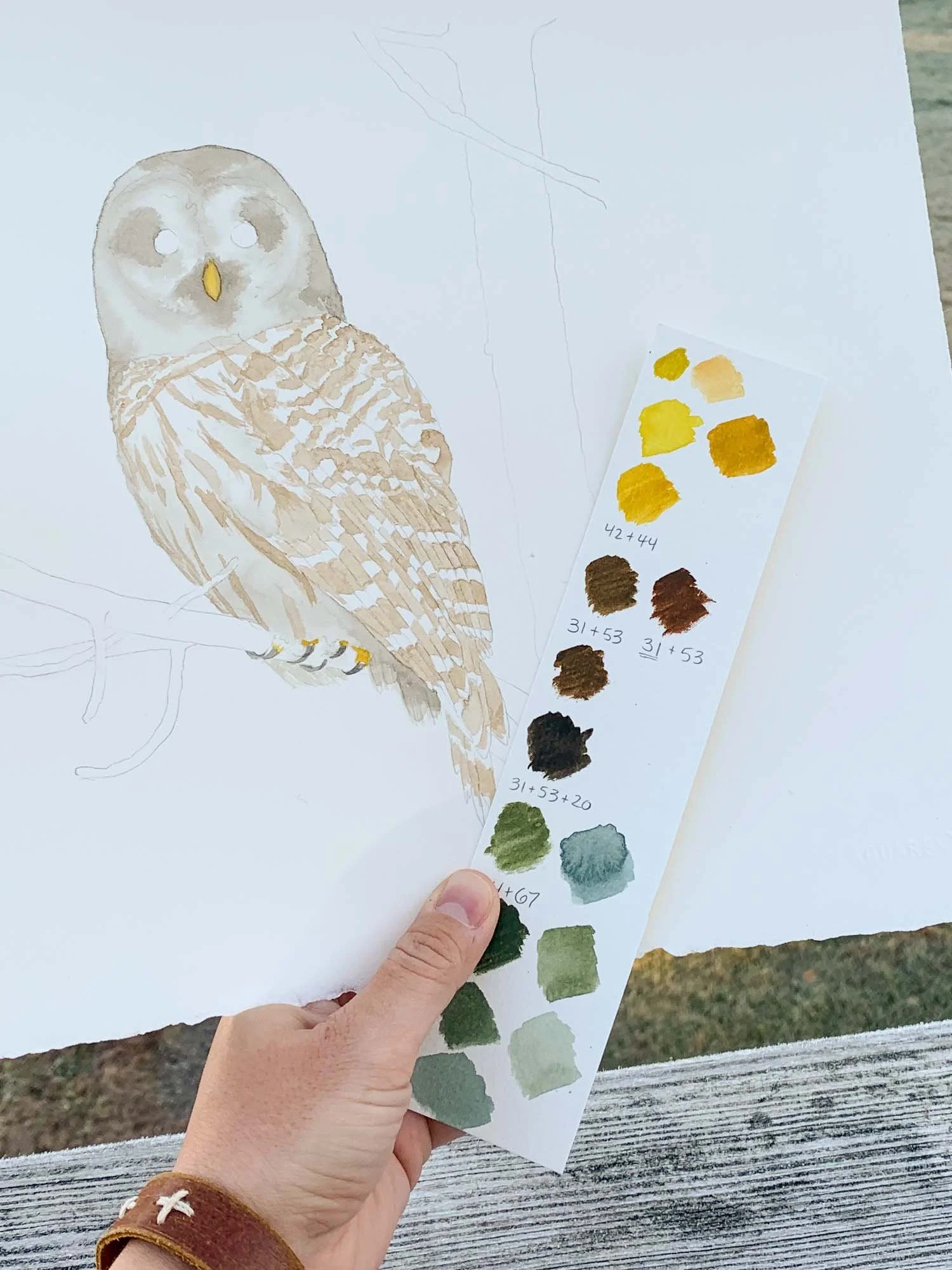 Owl - 1.jpg