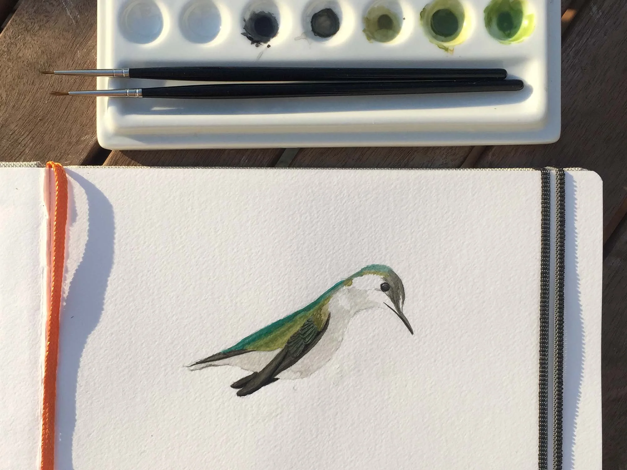 Hummingbird - 2.jpg