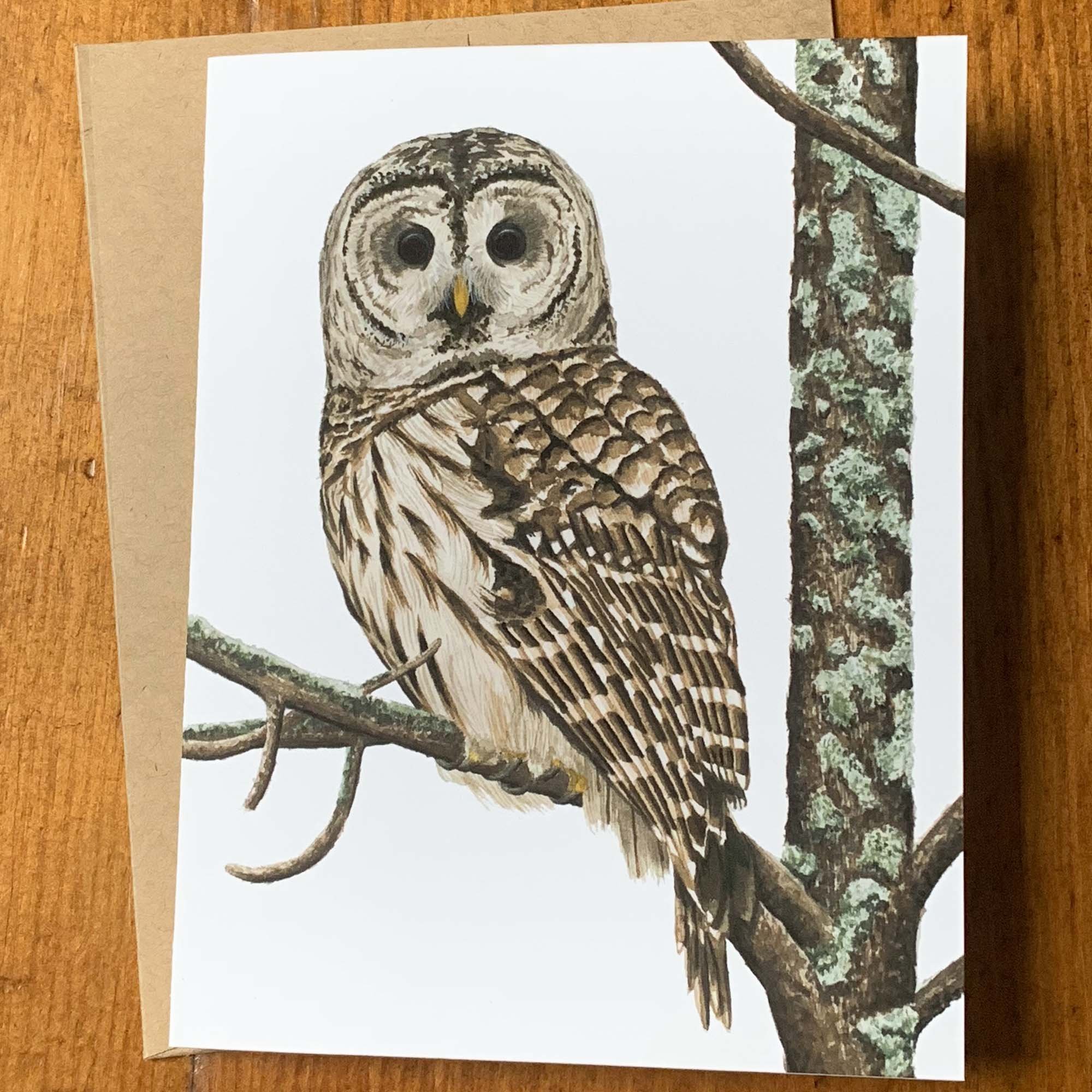 Owl - 2.jpg
