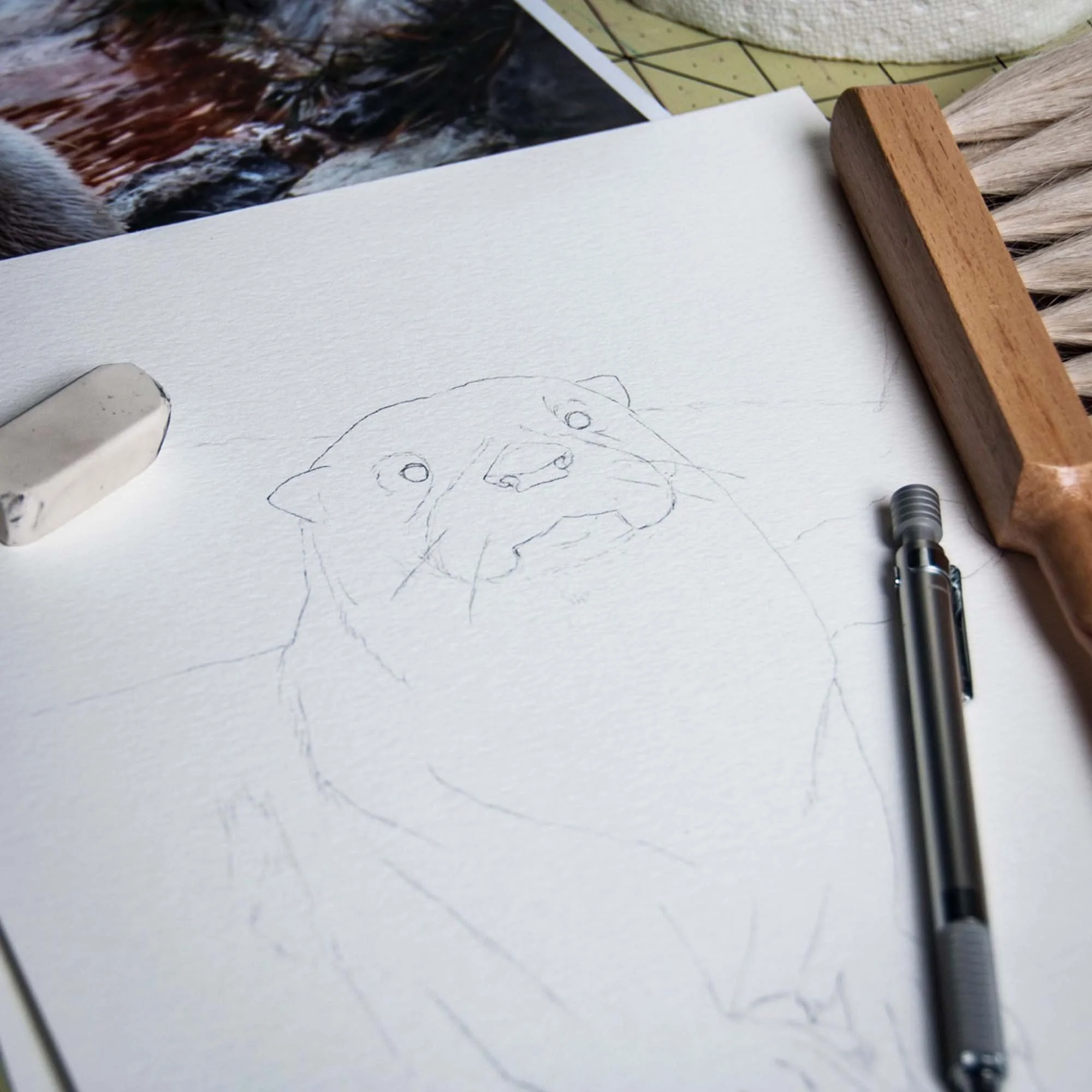 Otter - 1.jpg