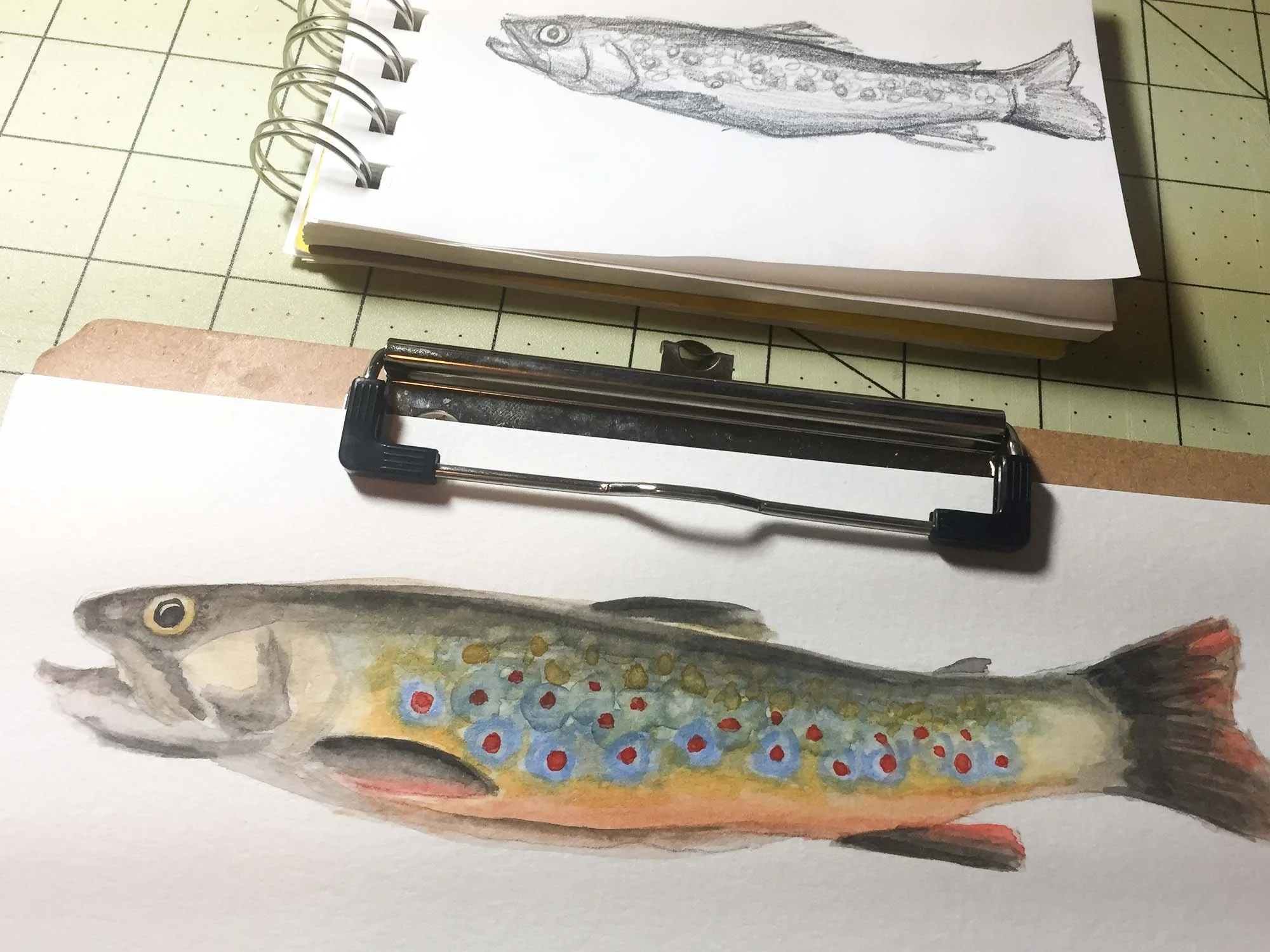 Trout.jpg