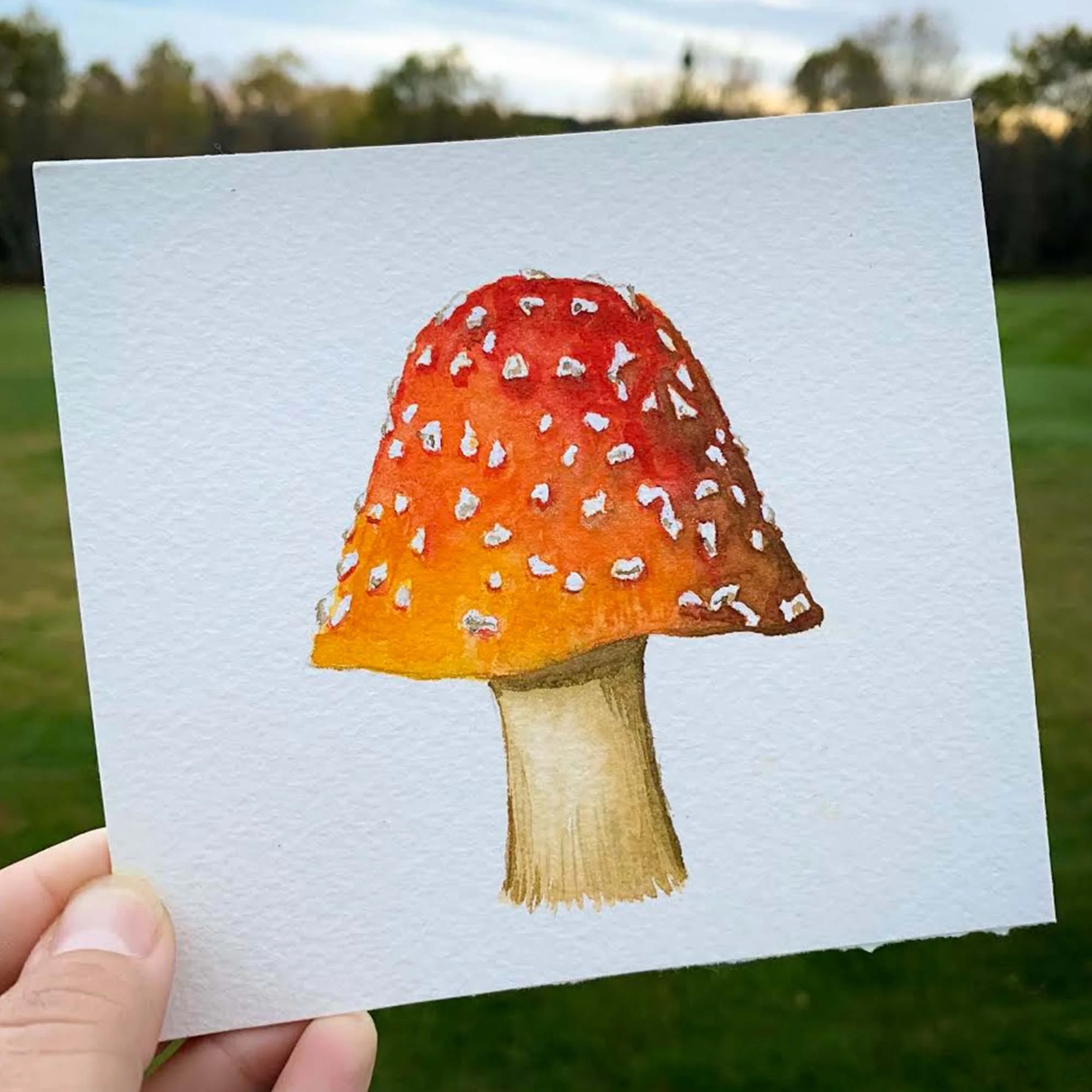 Mushroom - 2.jpg