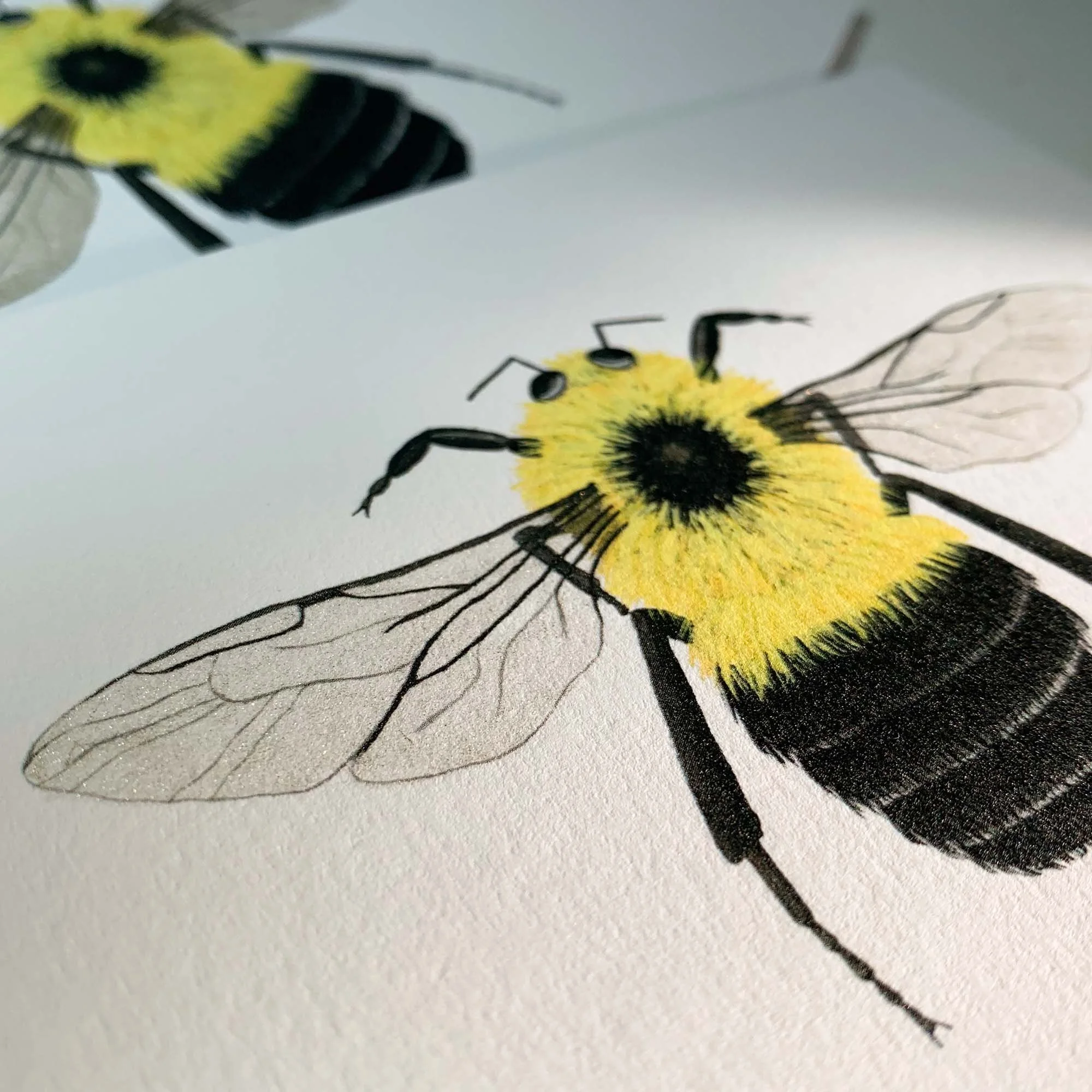 Pollinators
