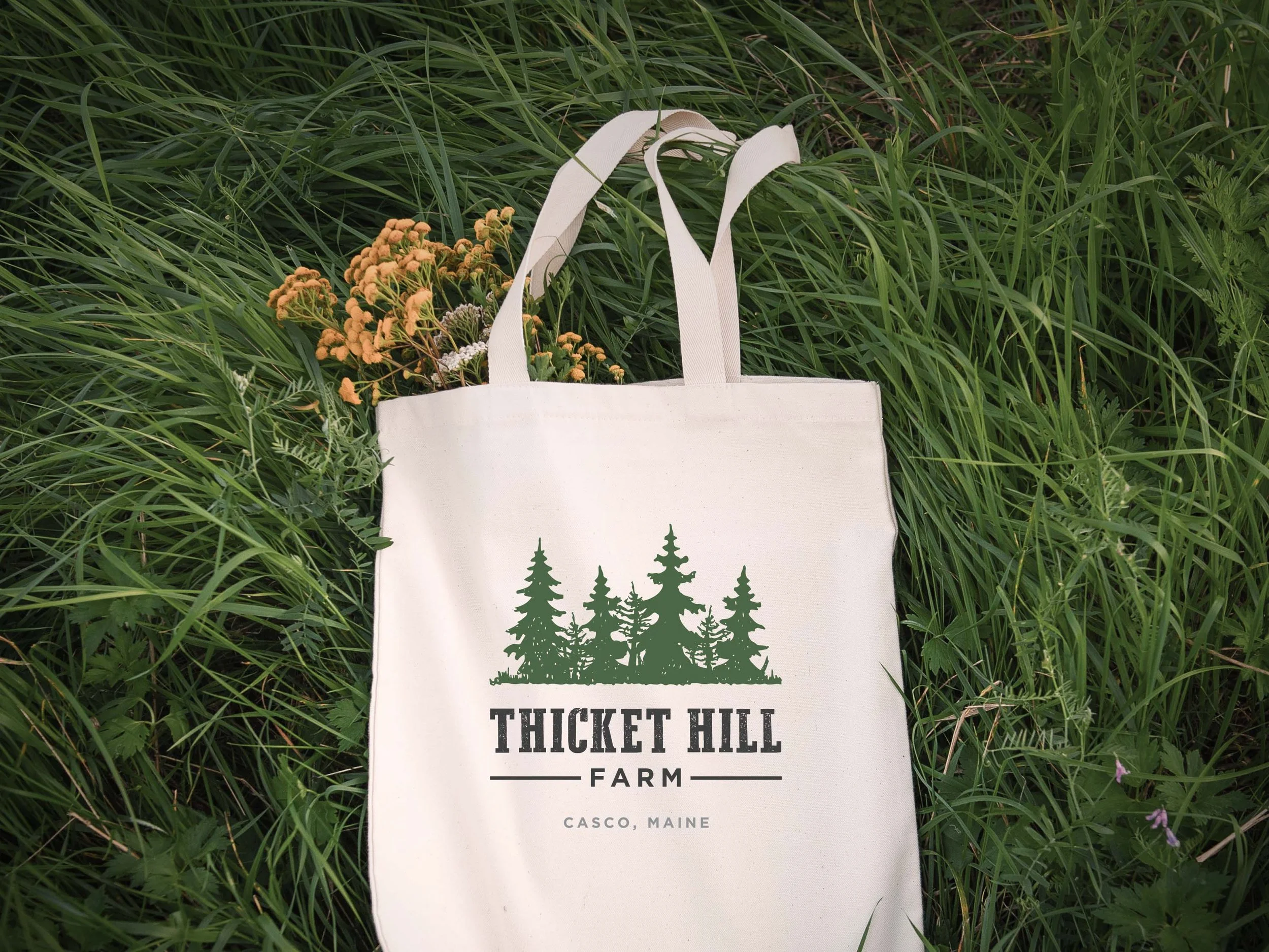 Thicket Hill Identity