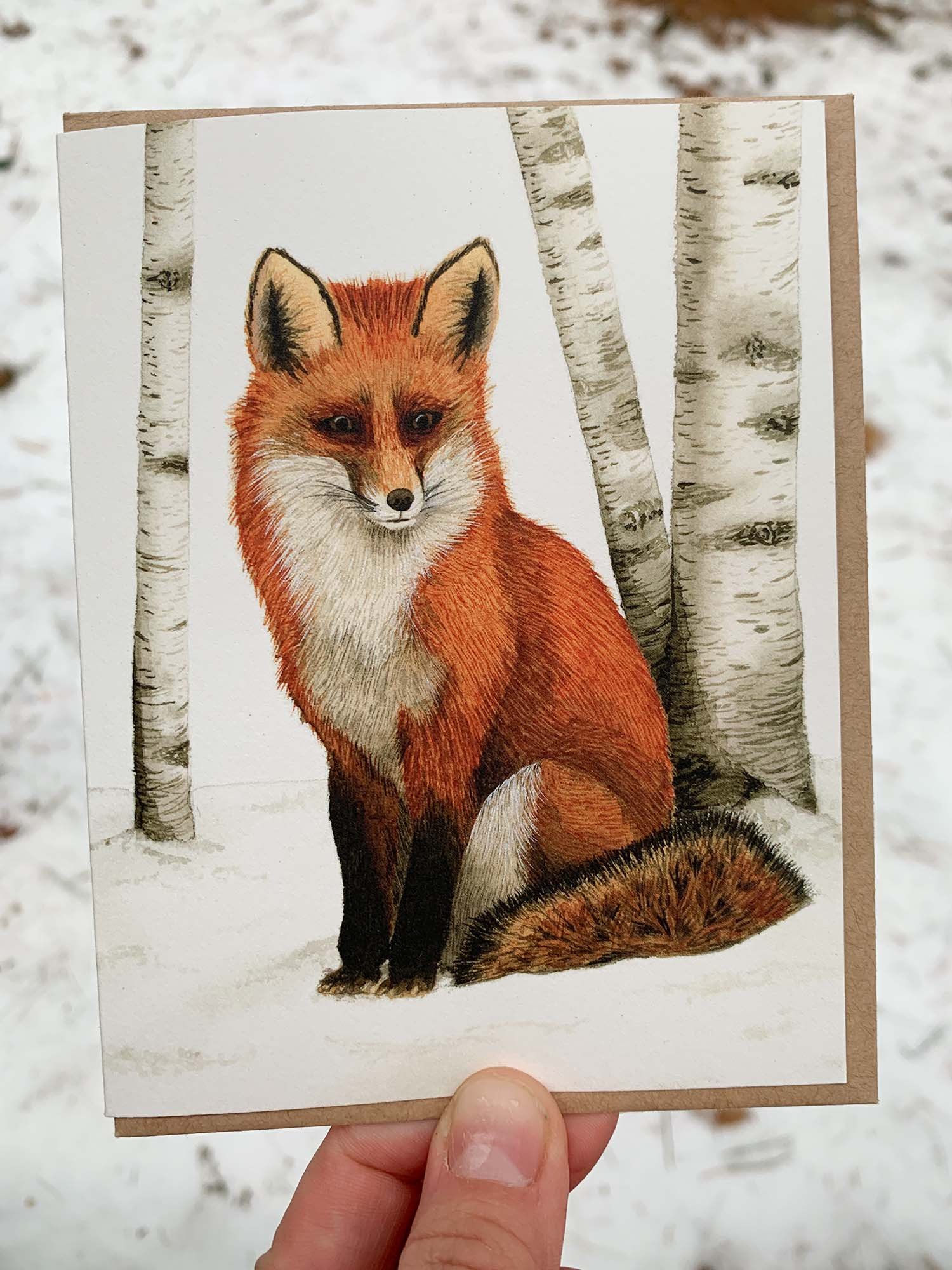 Fox - 2.jpg