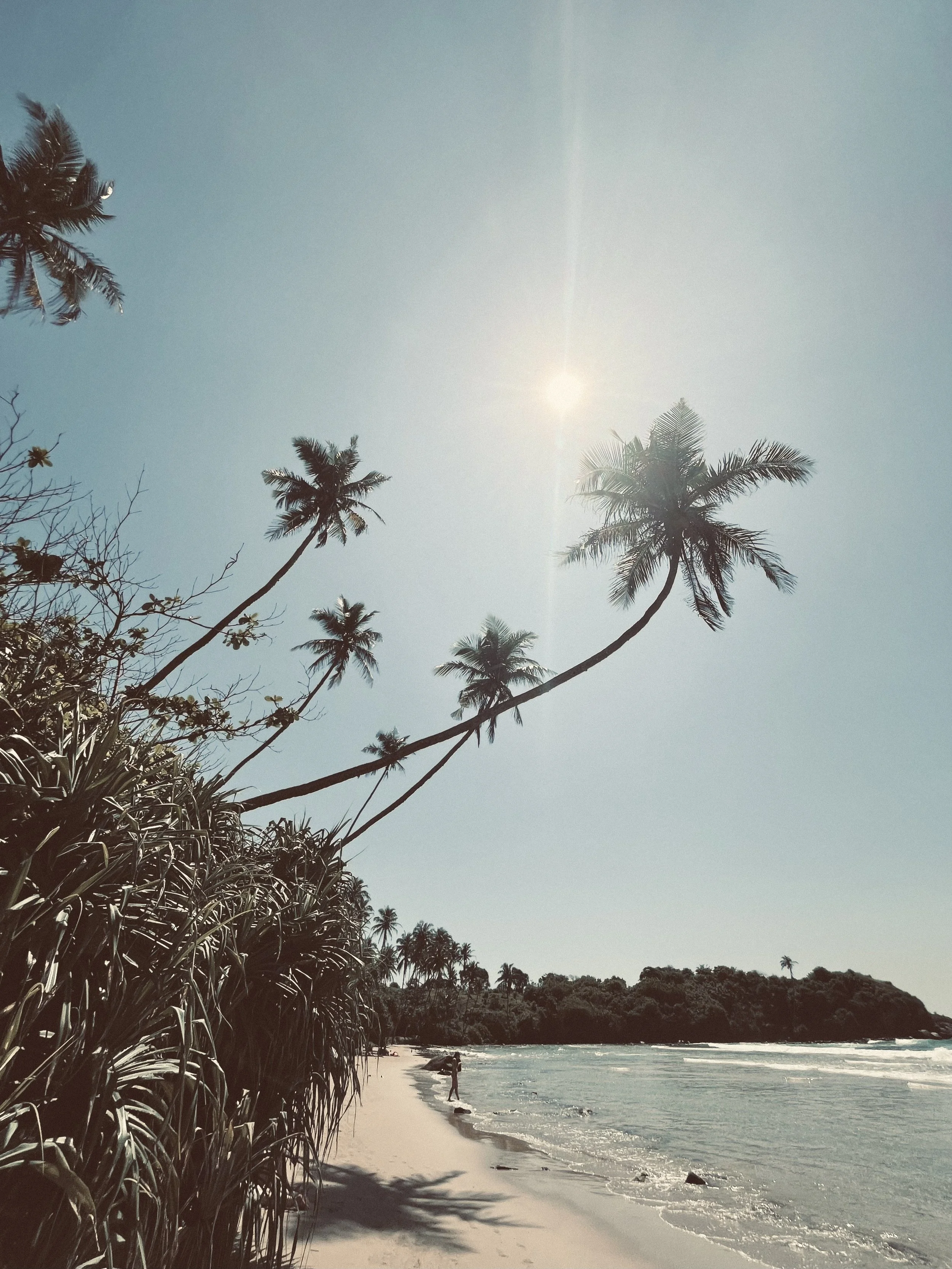 Content Design 1765343347987_filtered.JPG Image  Replace  Edit  Link  Attach Link Alternate Filename South Coast Sri Lanka Pehembiya Beach