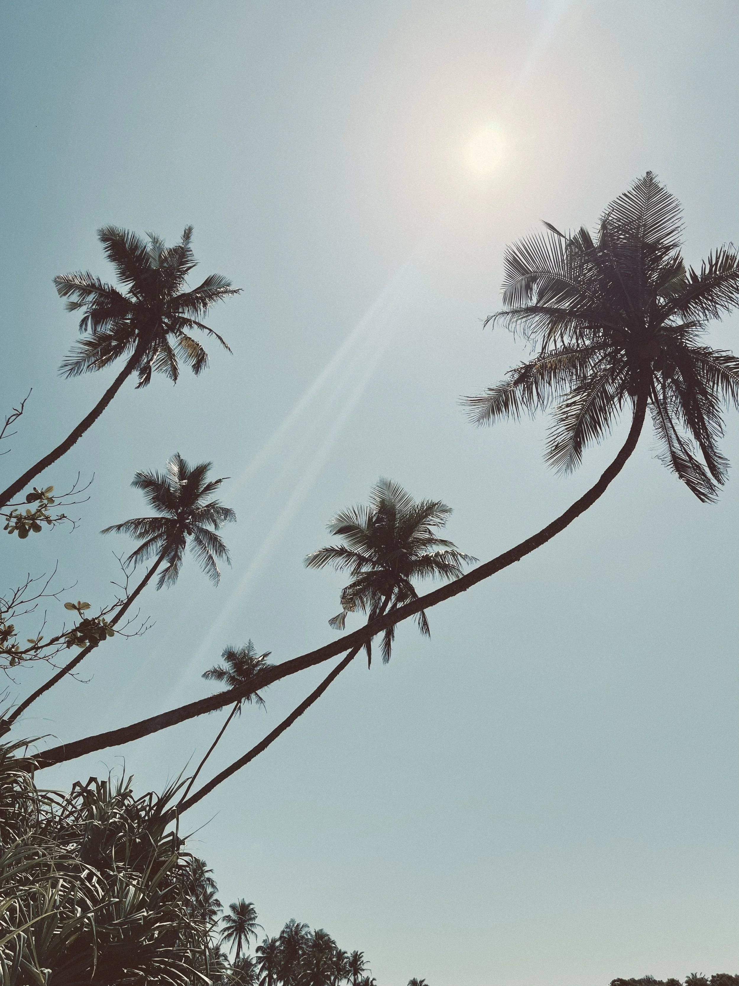 hotel rental holiday Hiriketiya Sri Lanka