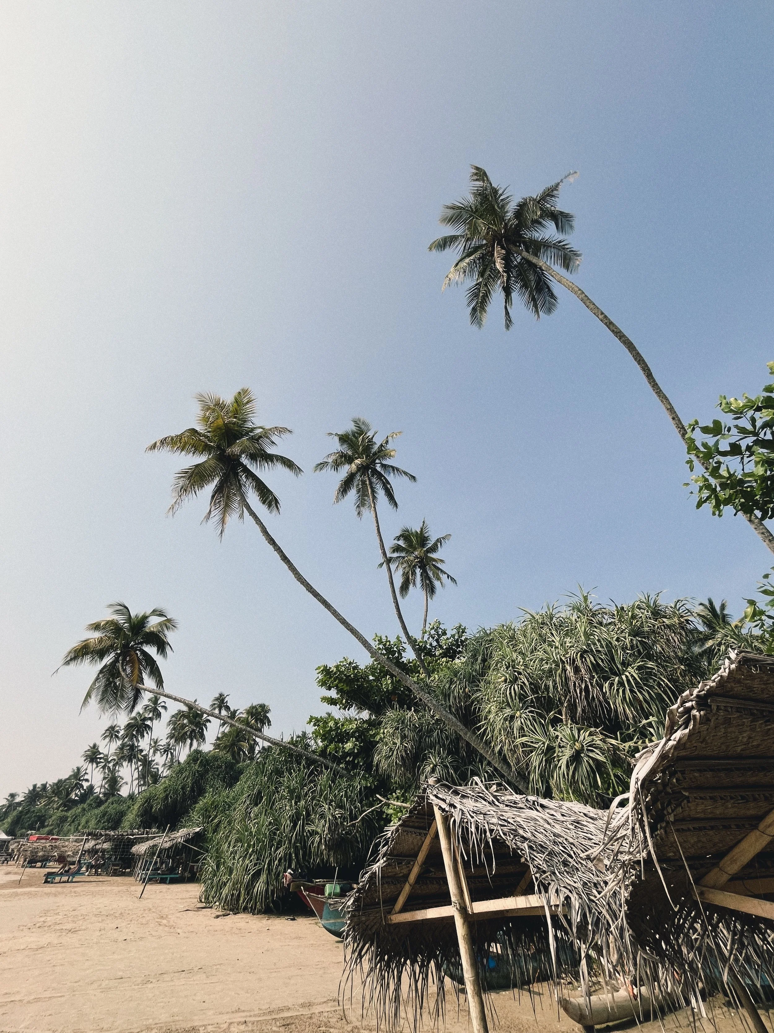 Travel Stay Rooms South Sri Lanka