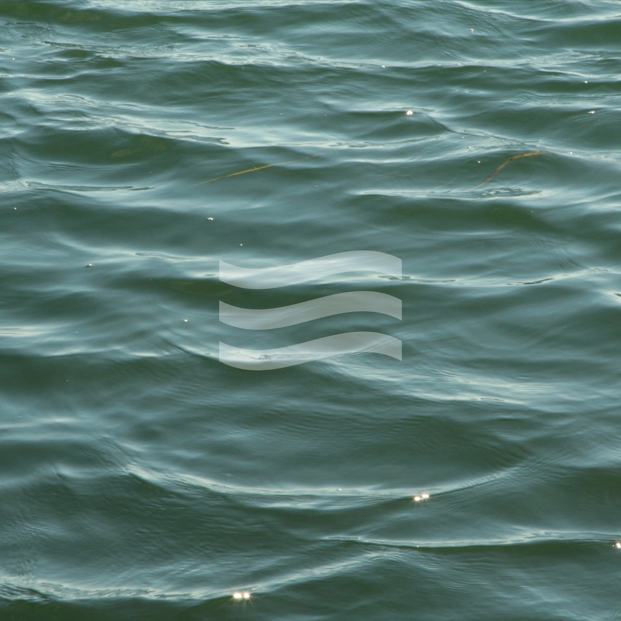 WAVELENGTHS SINGLES SERIES