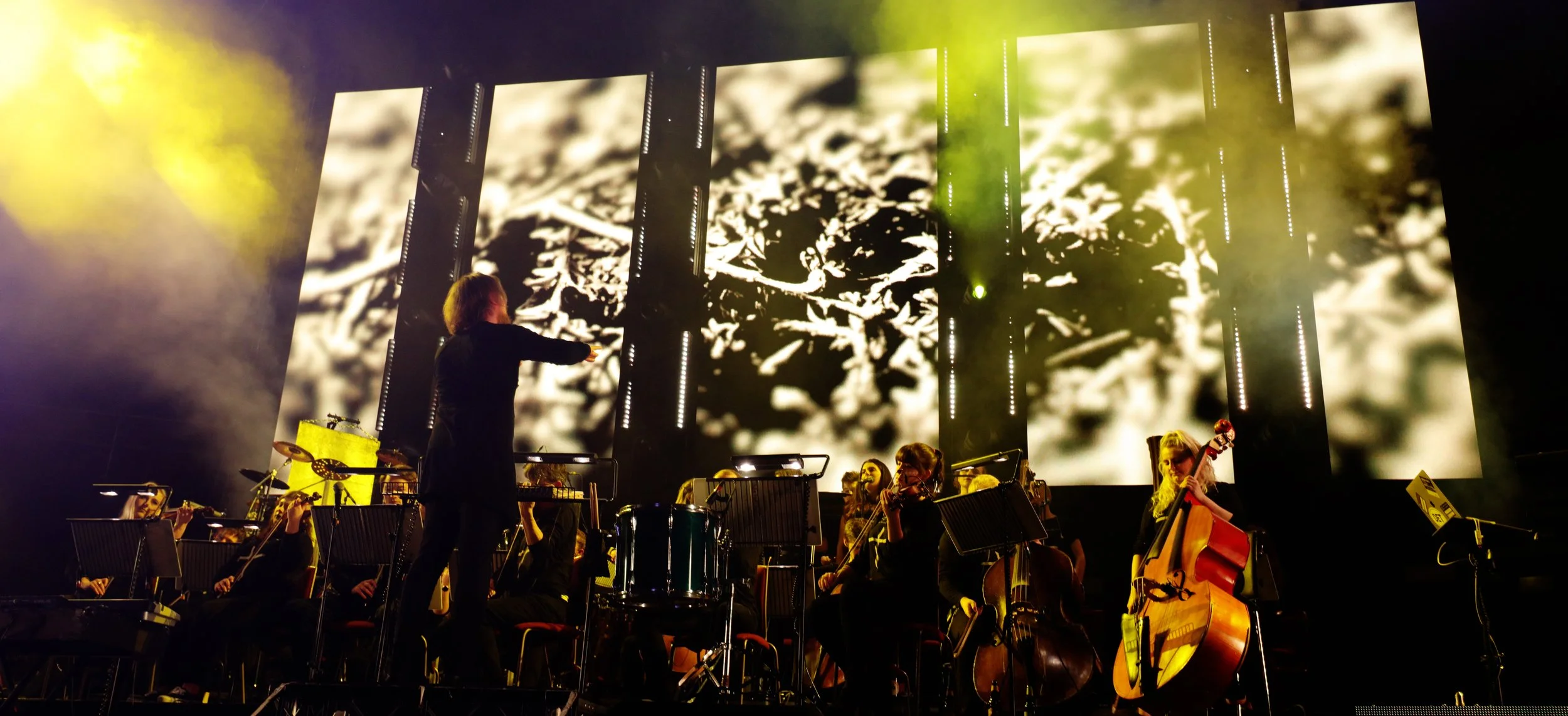 Gary Numan (Royal Albert Hall, London 2018)