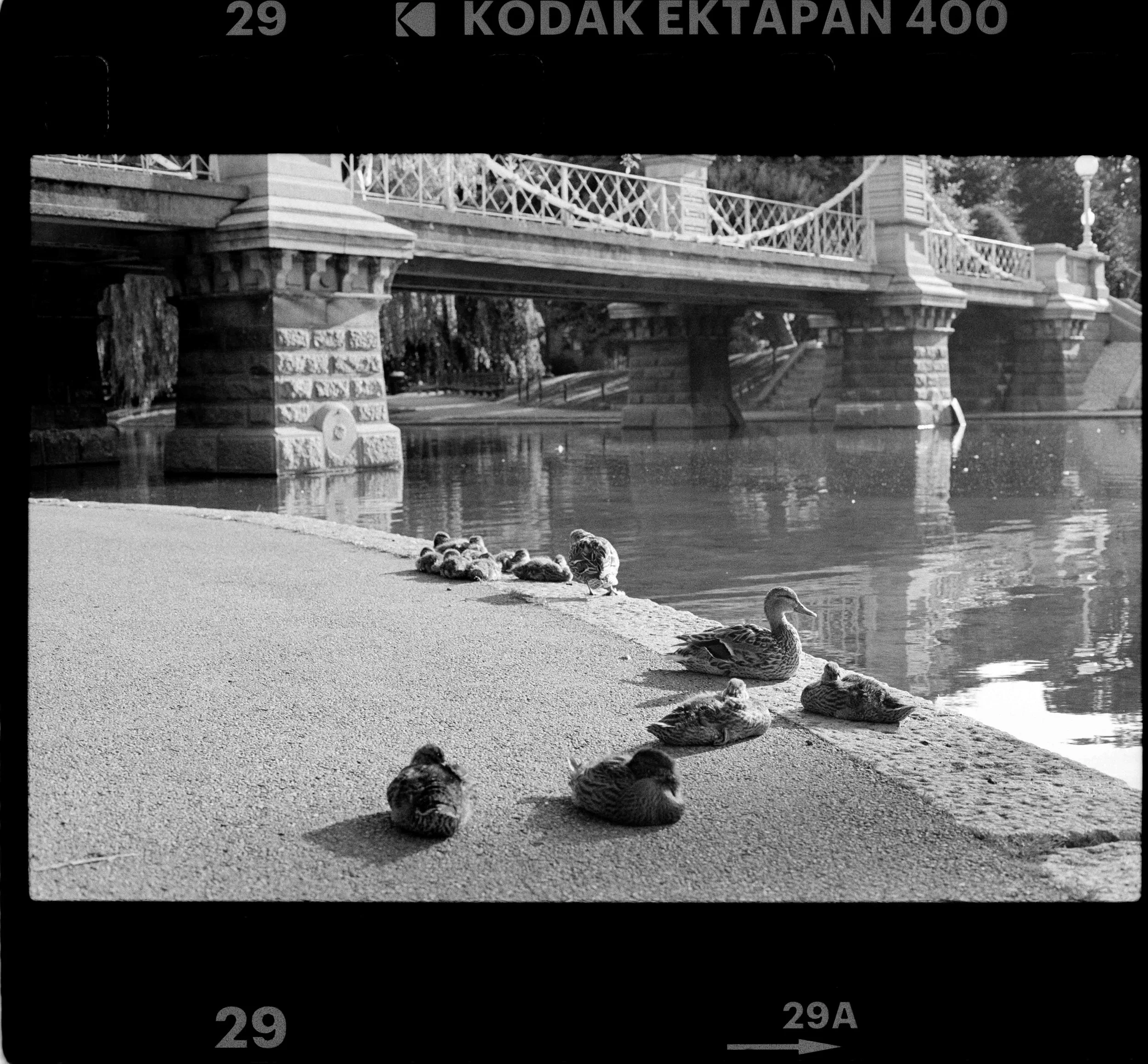 Img3562-instagram.jpg