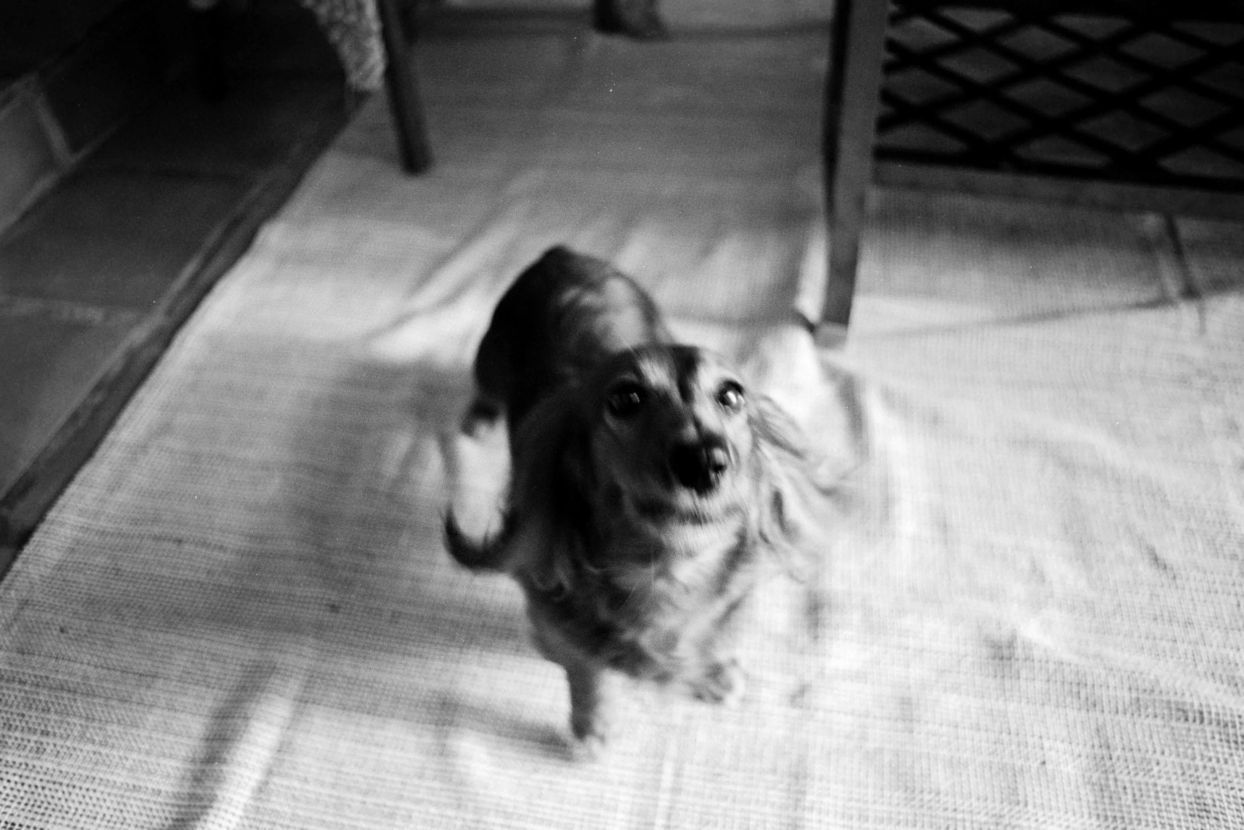 Img4551-positive-instagram.jpg