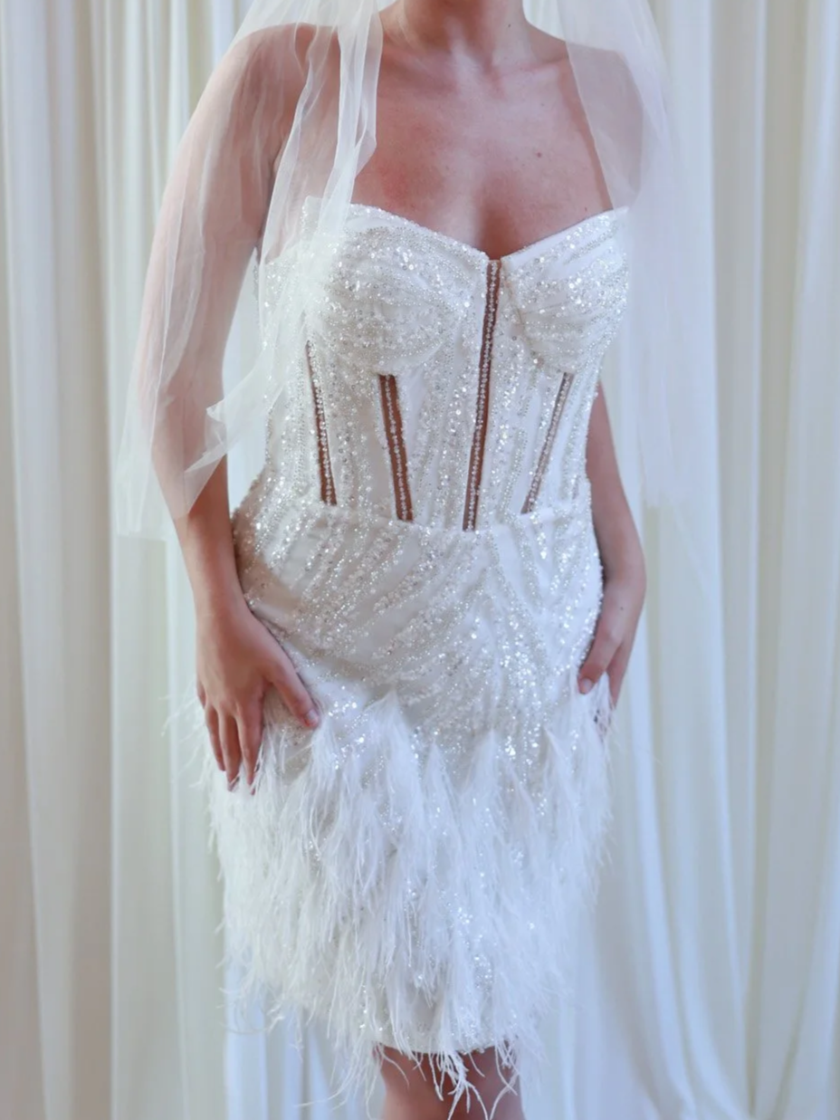 Sparkly corset wedding dress with feathered skirt and veil