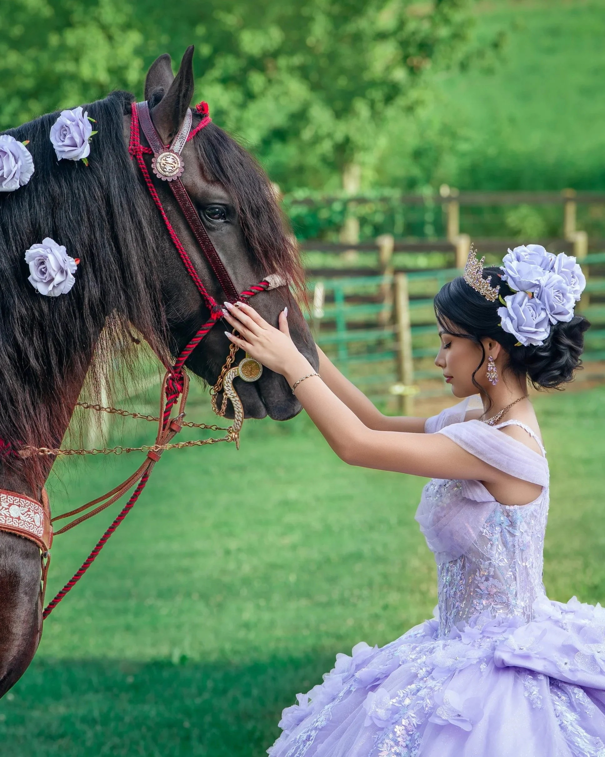 Sesiones de quinceañeras, Louisville, Kentucky. Mejor estudio de fotografia de Quinceañera en Louisville, Kentucky.