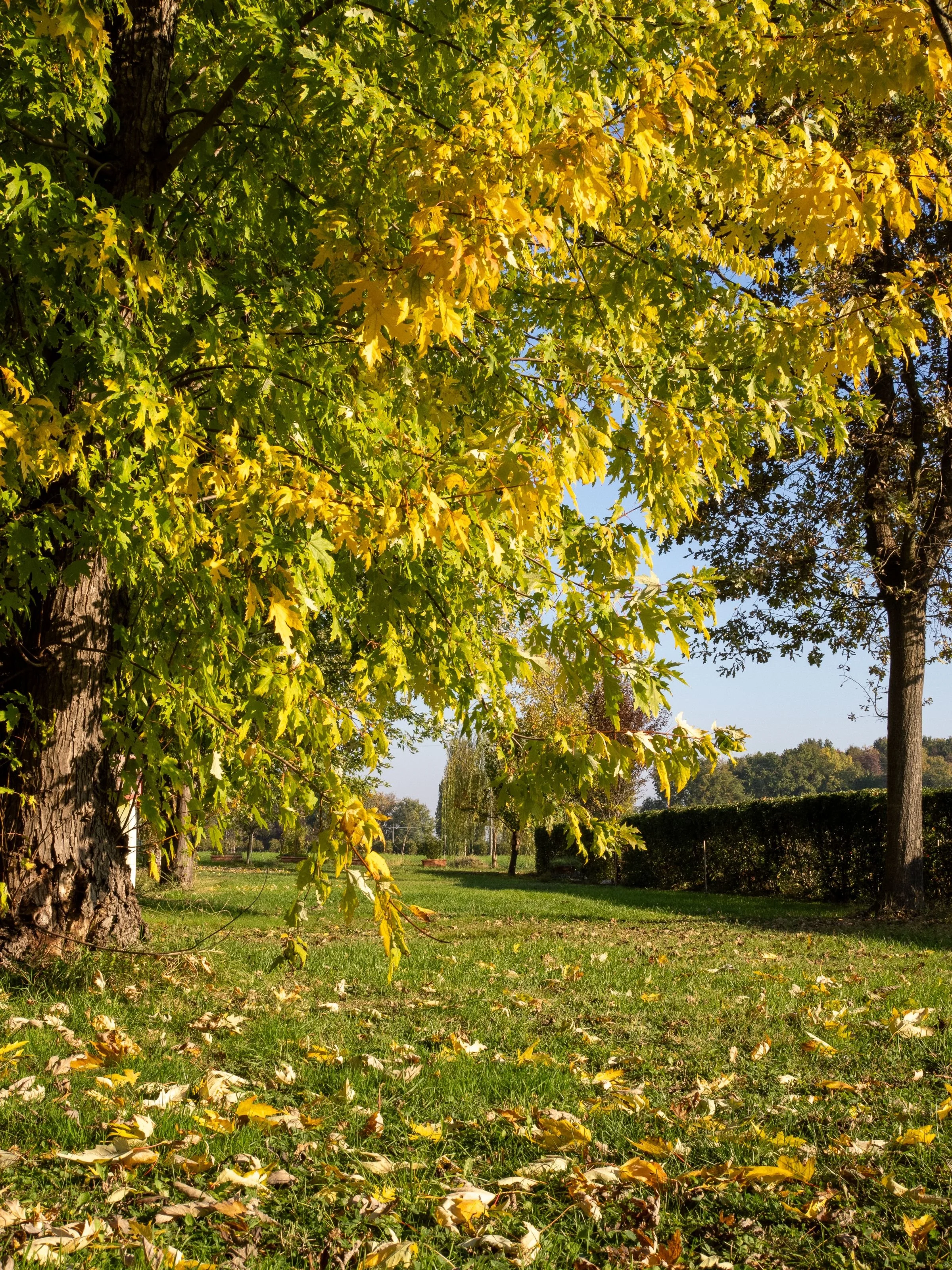 Giardino di Casa Roberta affacciato sulla campagna