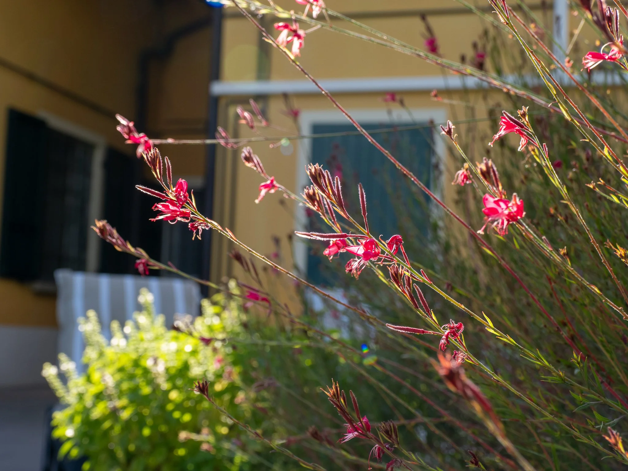 Patio esterno di Casa Roberta affacciato sulla campagna