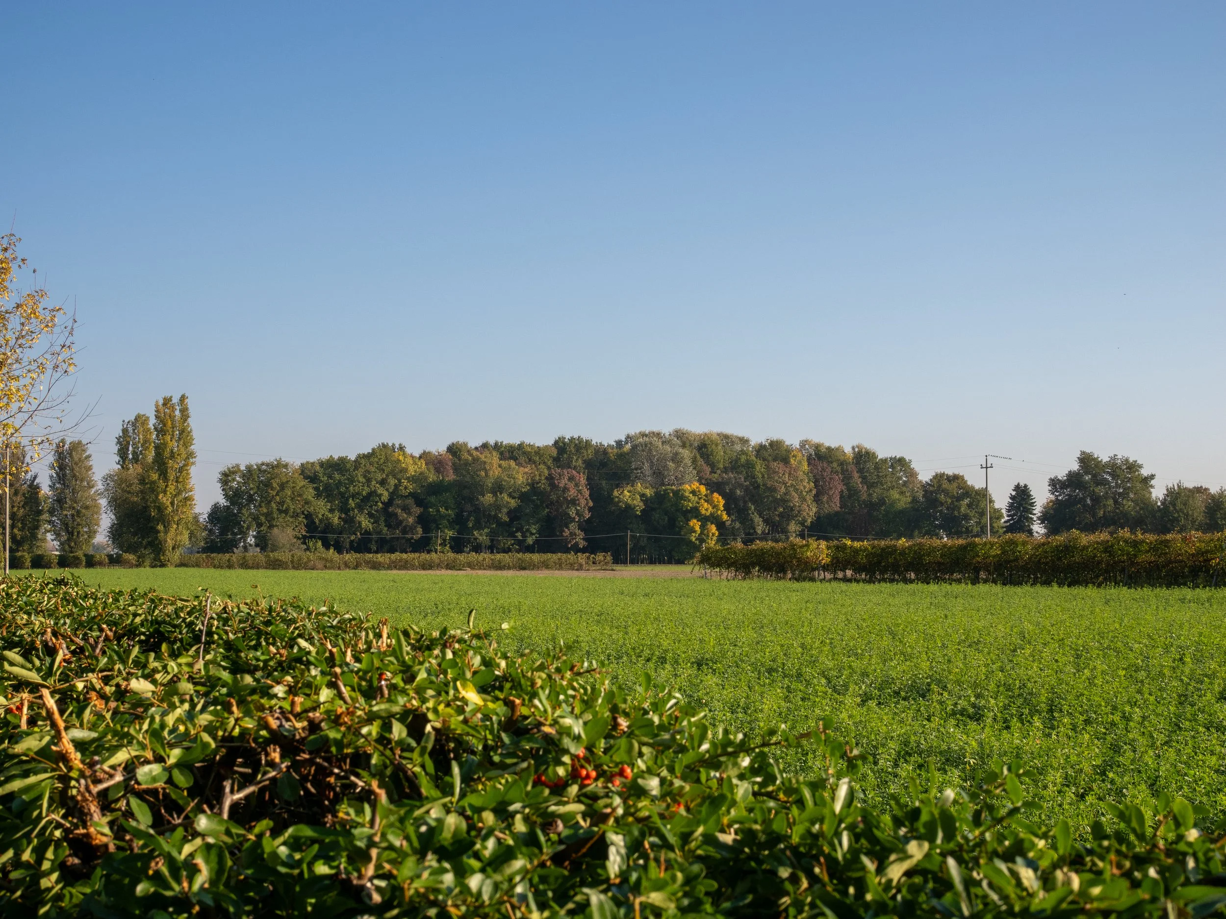 Vista esterno di Casa Roberta.