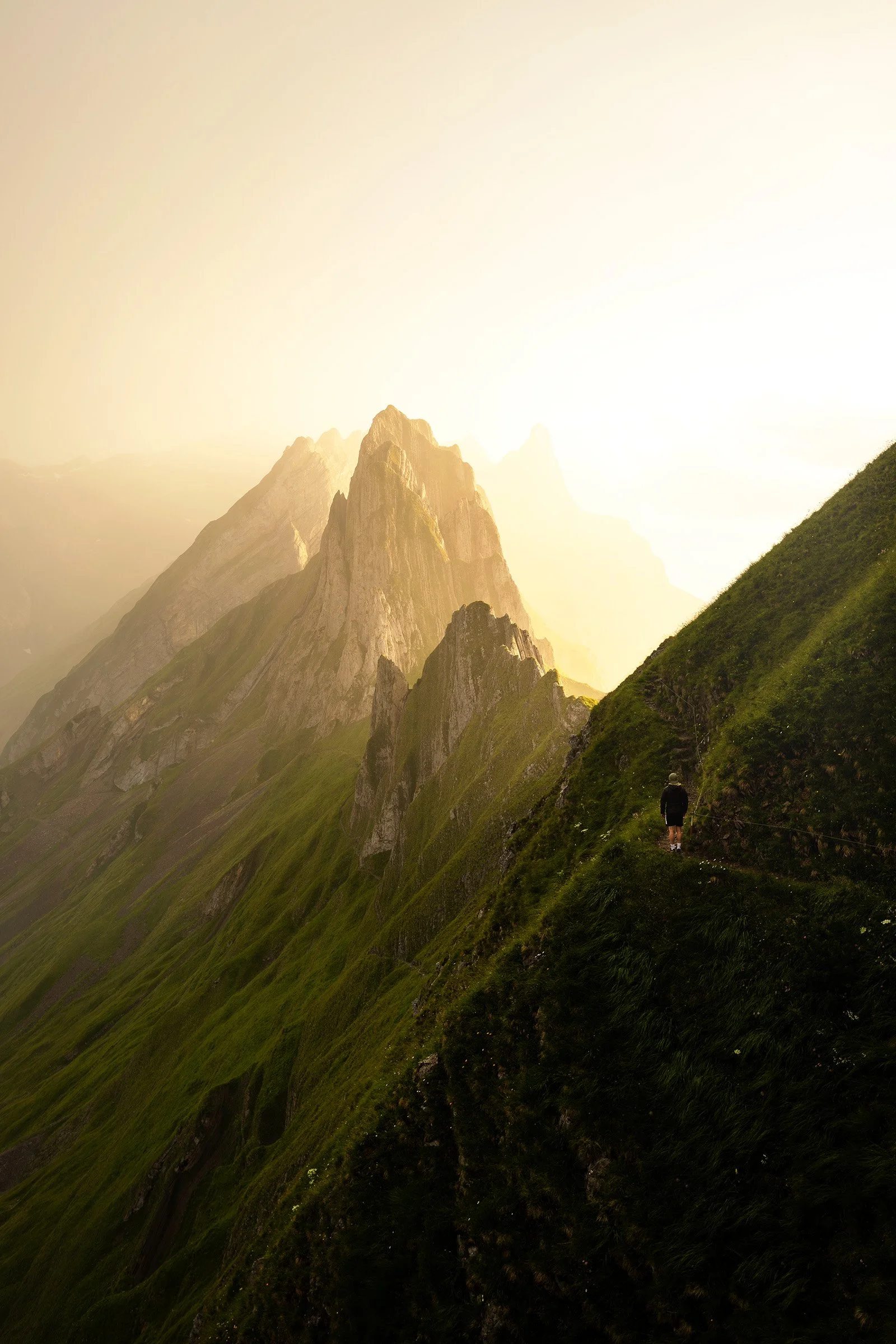 Schäfler im Appenzell bei Sonnenuntergang