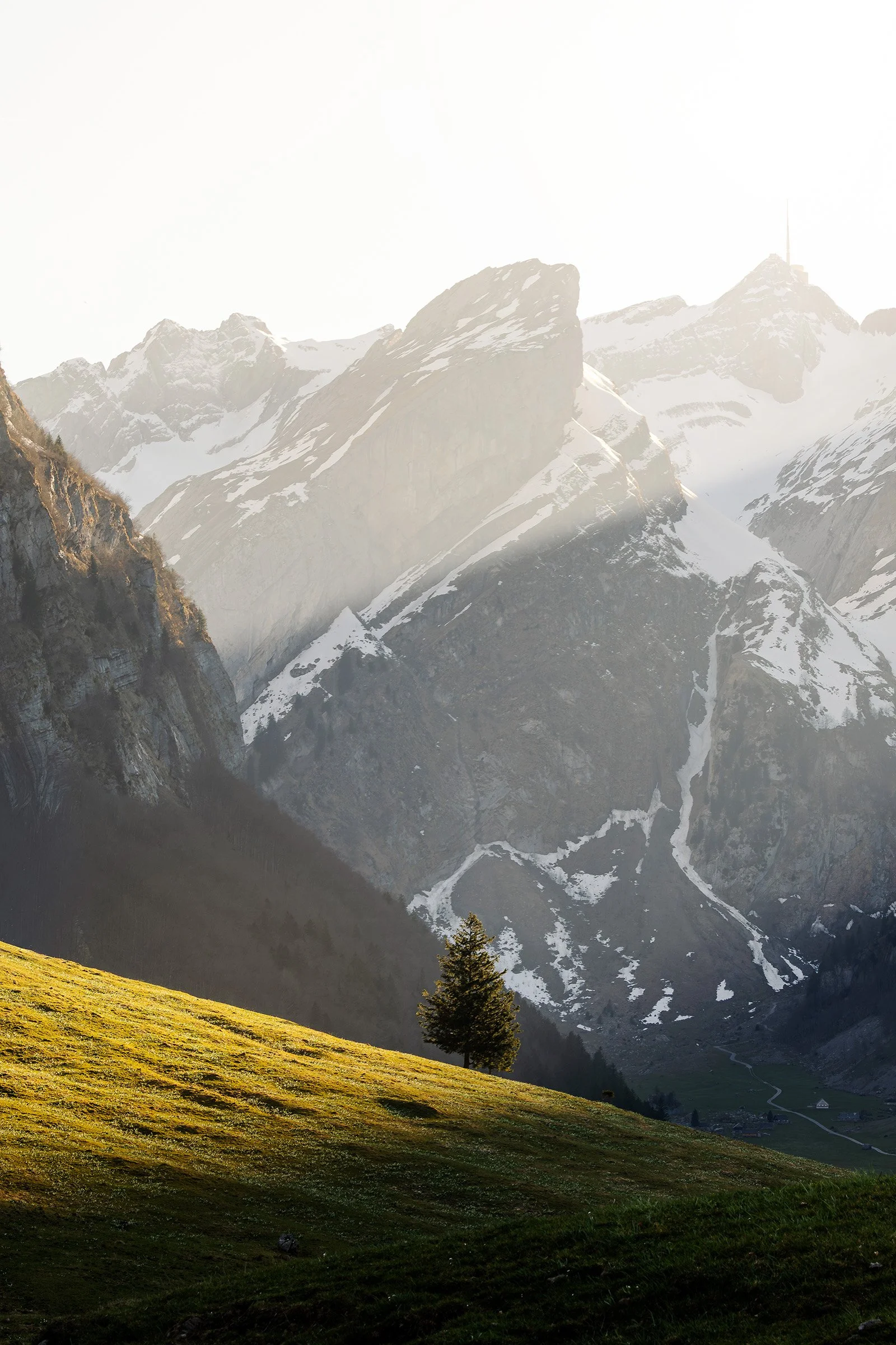 Alpstein im Frühling