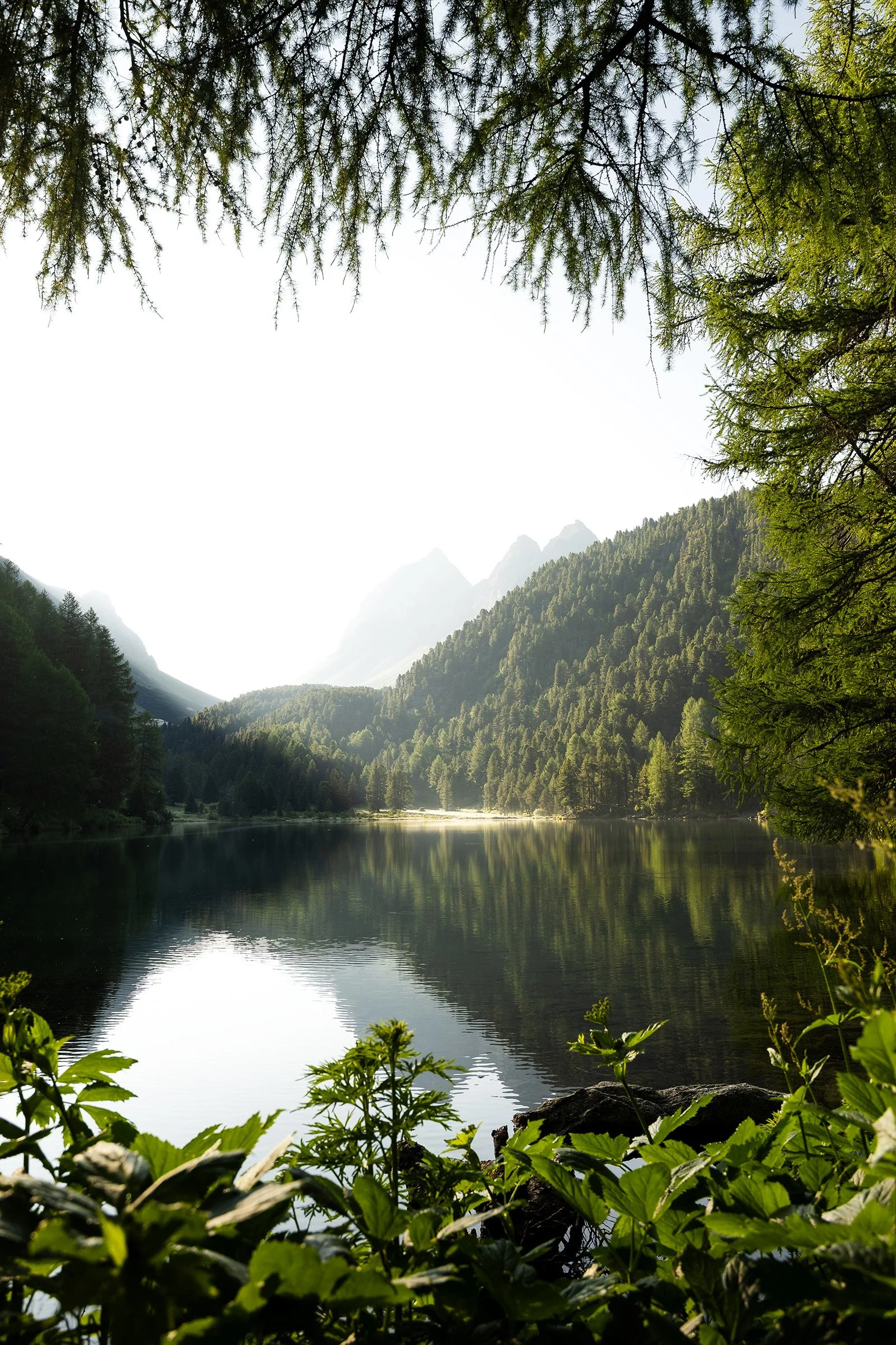 Palpuognasee im Albulathal im Sommer